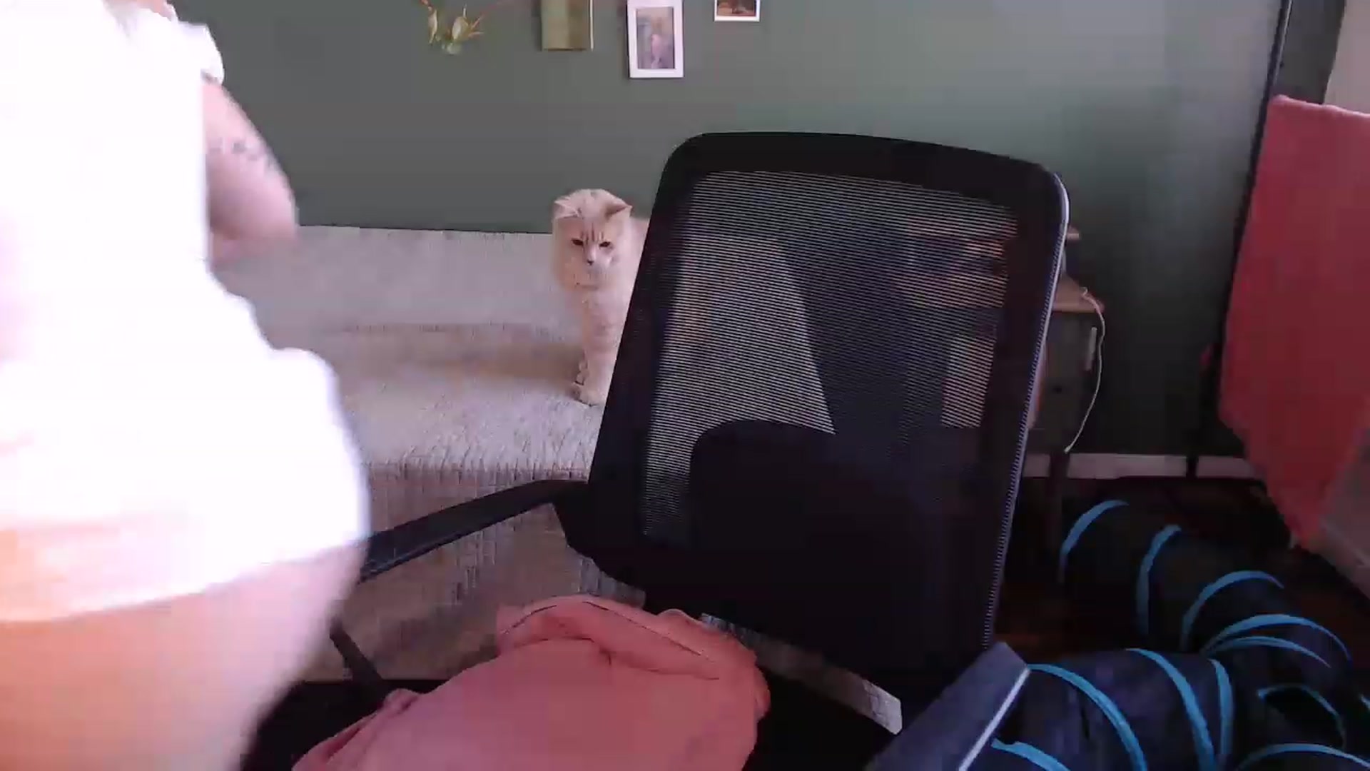 Gallery image thumbnail from Demmetria's myfreecams stream on, 07/31/2023, 20:16 image 4 of 20