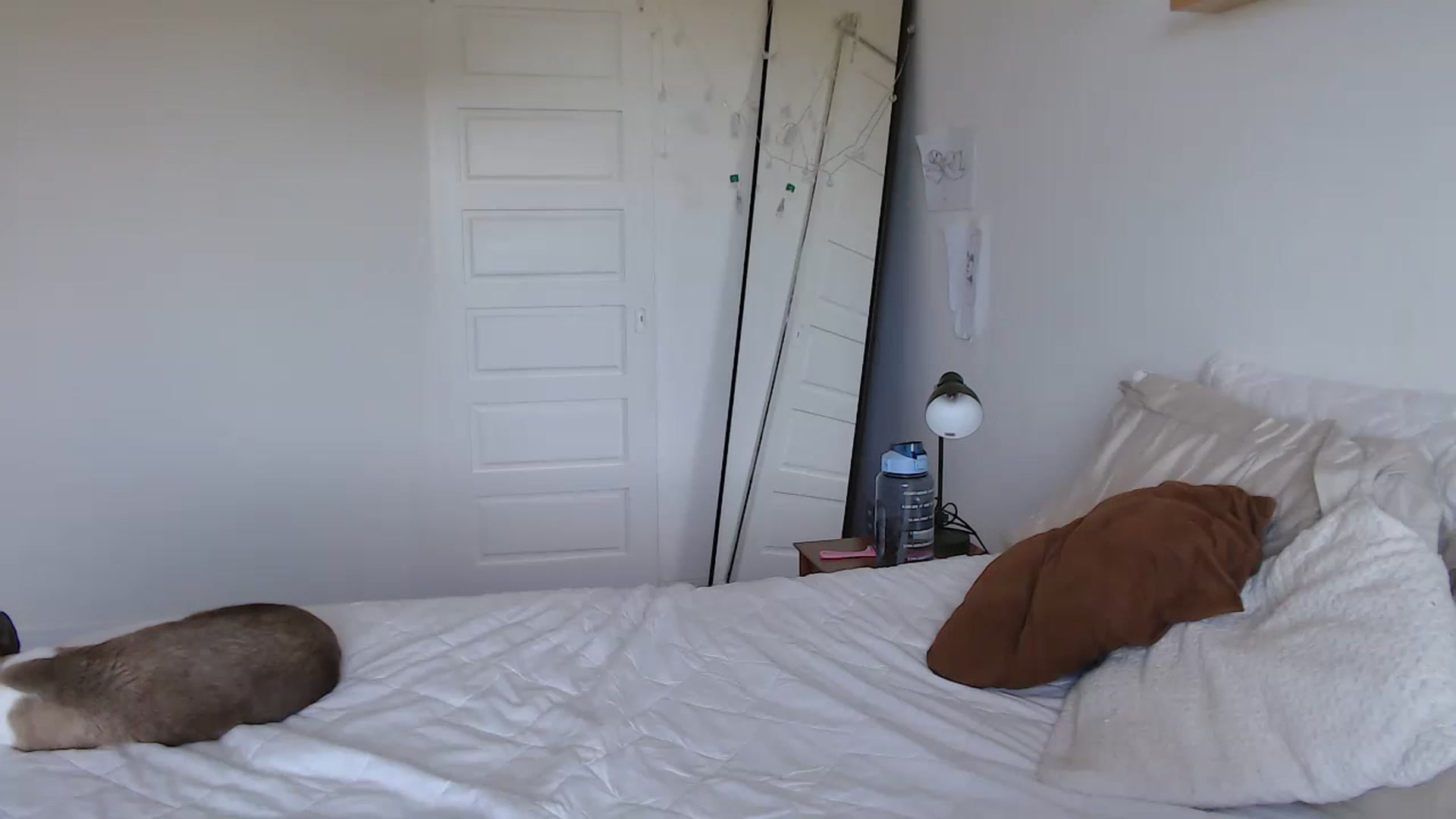 Gallery image thumbnail from Demmetria's myfreecams stream on, 08/25/2023, 19:27 image 6 of 20