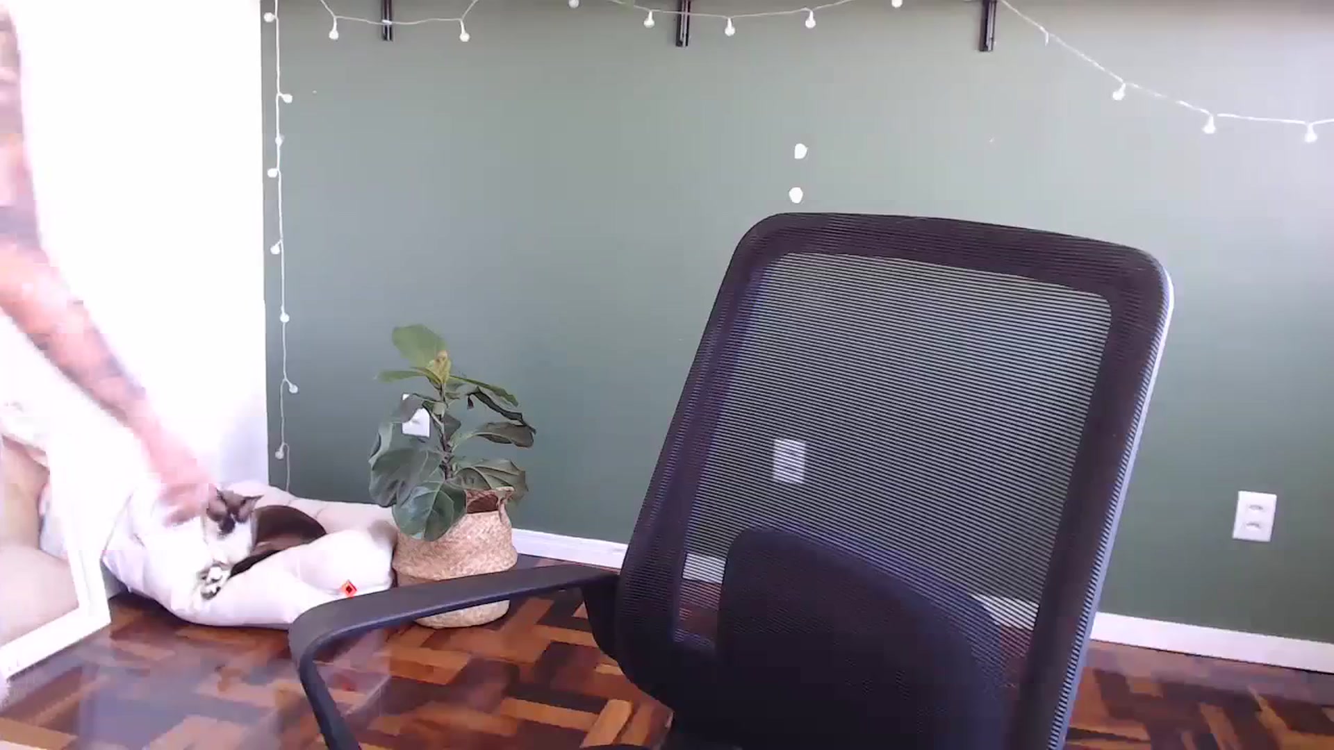 Gallery image thumbnail from Demmetria's myfreecams stream on, 04/03/2024, 19:40 image 8 of 20