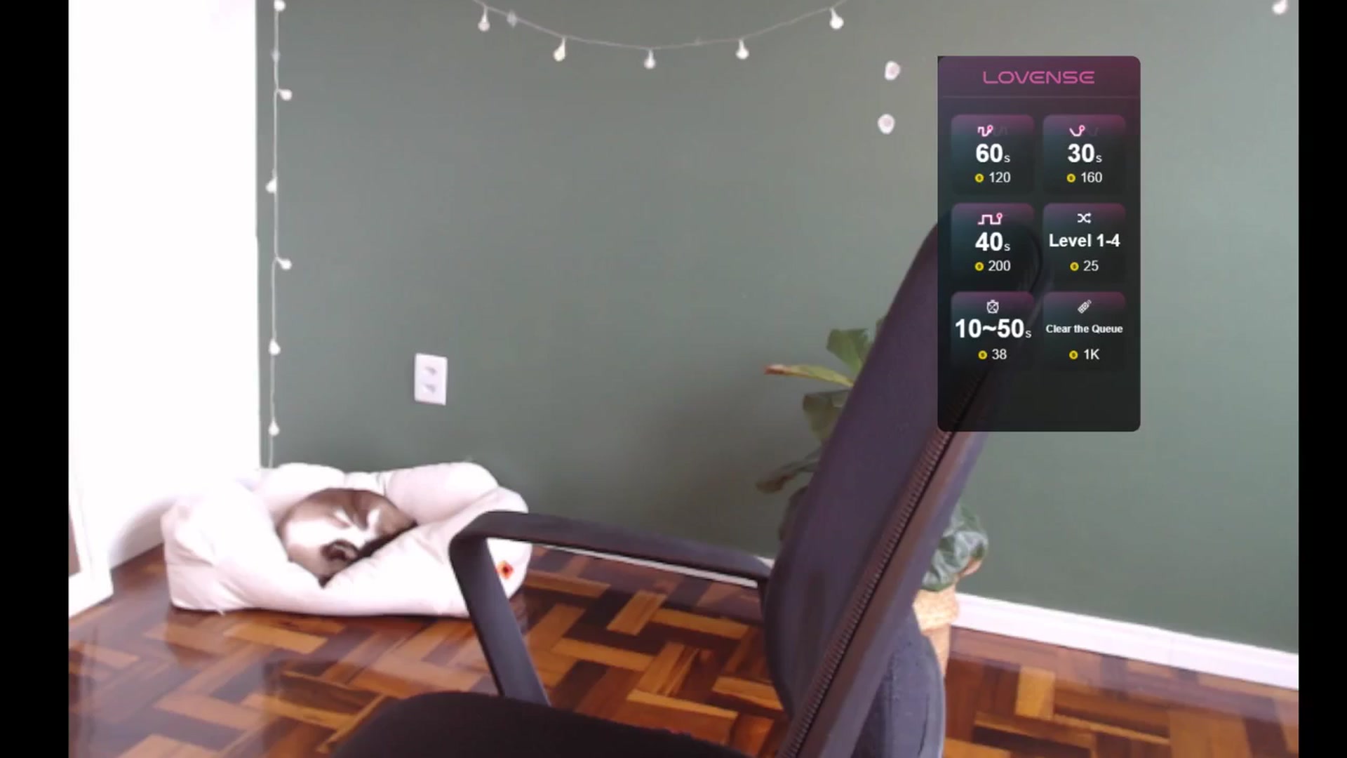 Gallery image thumbnail from Demmetria's myfreecams stream on, 05/13/2024, 12:33 image 10 of 20