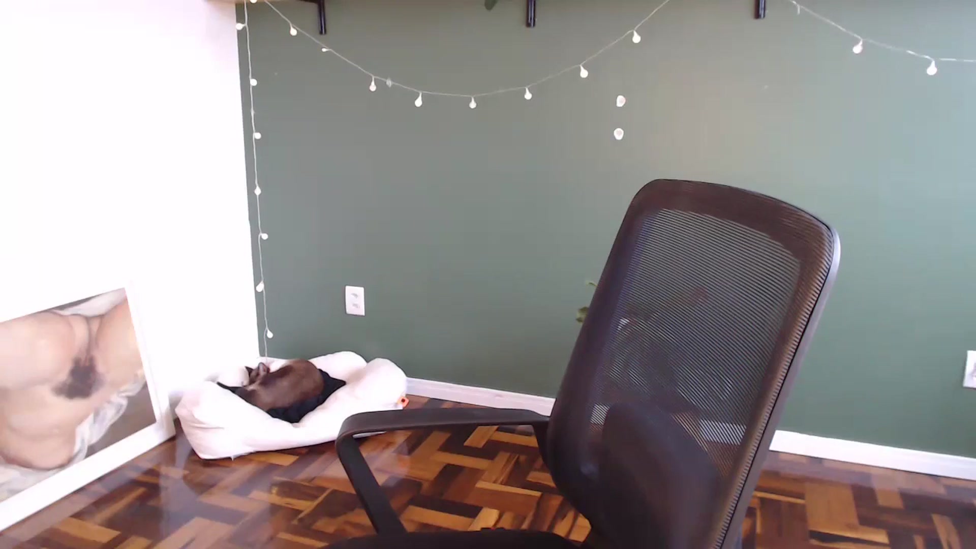 Gallery image thumbnail from Demmetria's myfreecams stream on, 05/16/2024, 18:40 image 16 of 20
