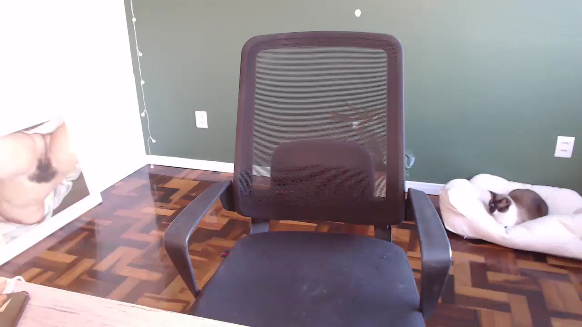 Gallery image thumbnail from Demmetria's myfreecams stream on, 05/20/2024, 20:12 image 15 of 20