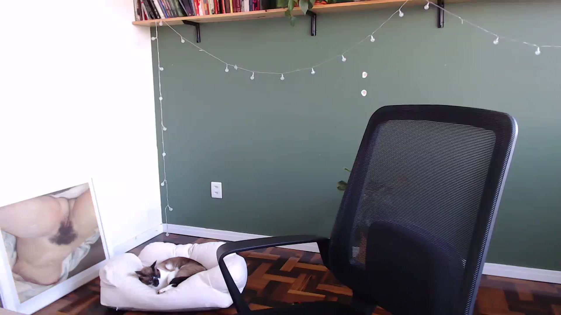 Gallery image thumbnail from Demmetria's myfreecams stream on, 05/22/2024, 19:26 image 17 of 20