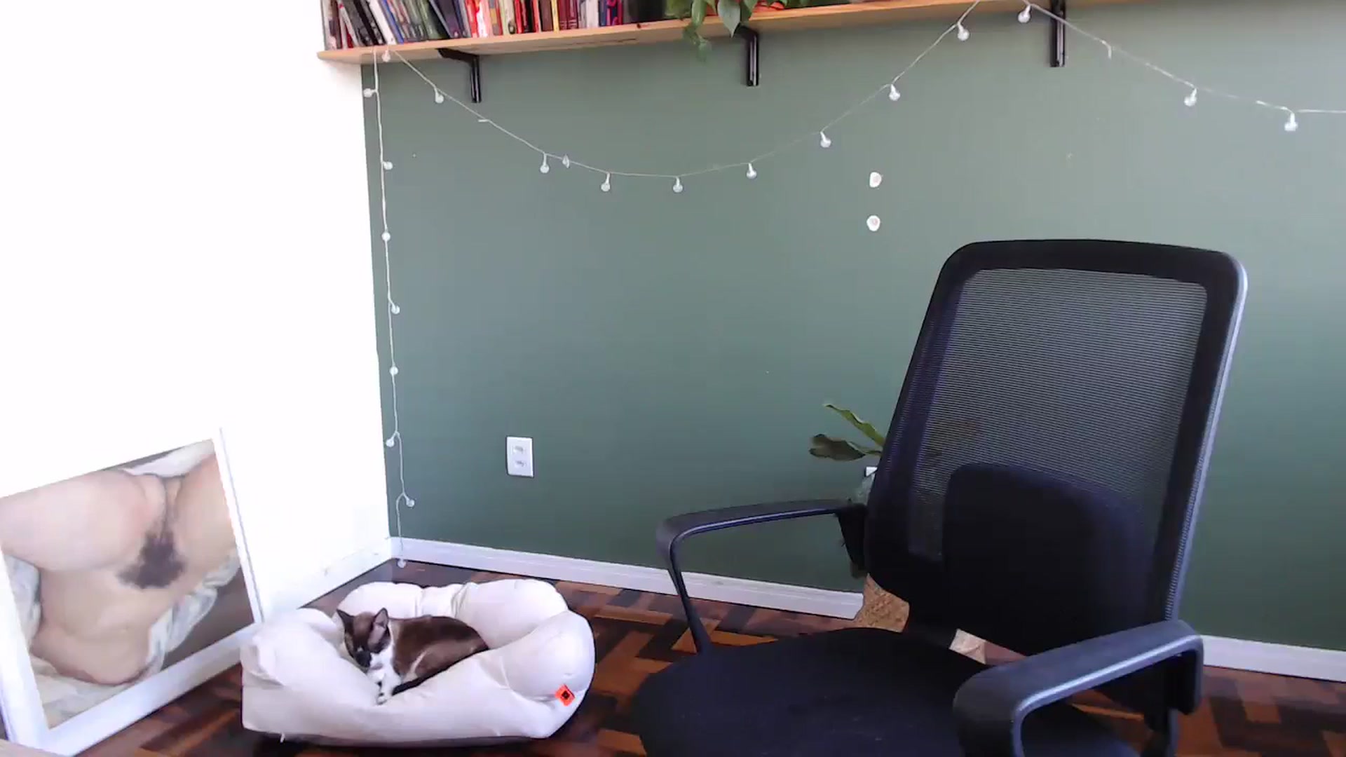 Gallery image thumbnail from Demmetria's myfreecams stream on, 05/22/2024, 19:26 image 8 of 20