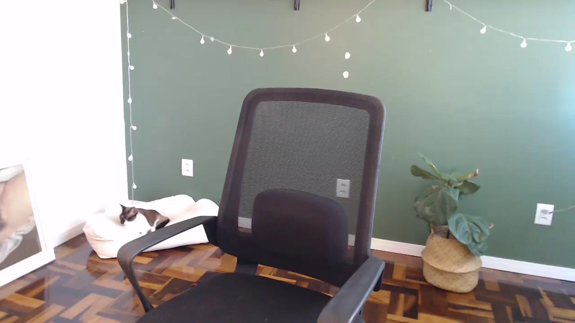Gallery image thumbnail from Demmetria's myfreecams stream on, 05/29/2024, 18:19 image 11 of 20