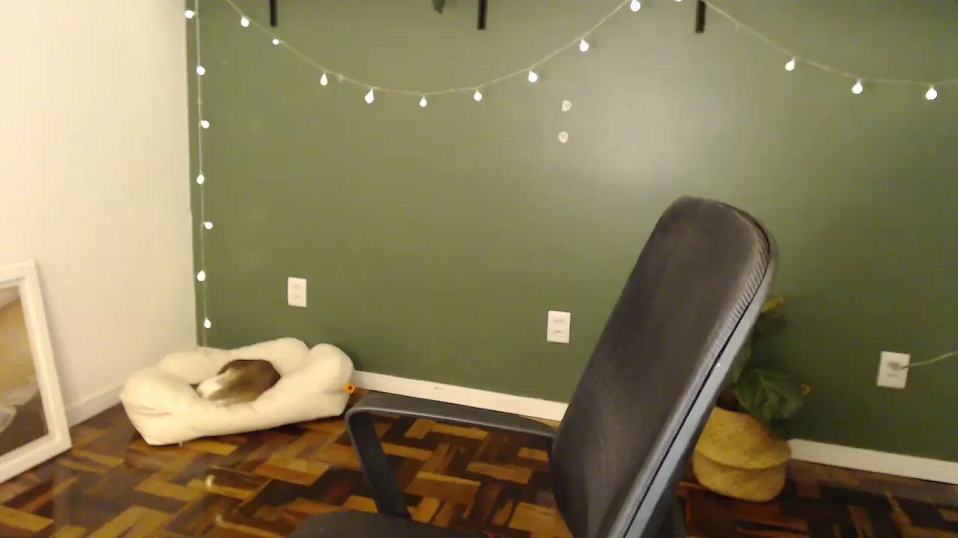 Gallery image thumbnail from Demmetria's myfreecams stream on, 05/29/2024, 19:00 image 3 of 20