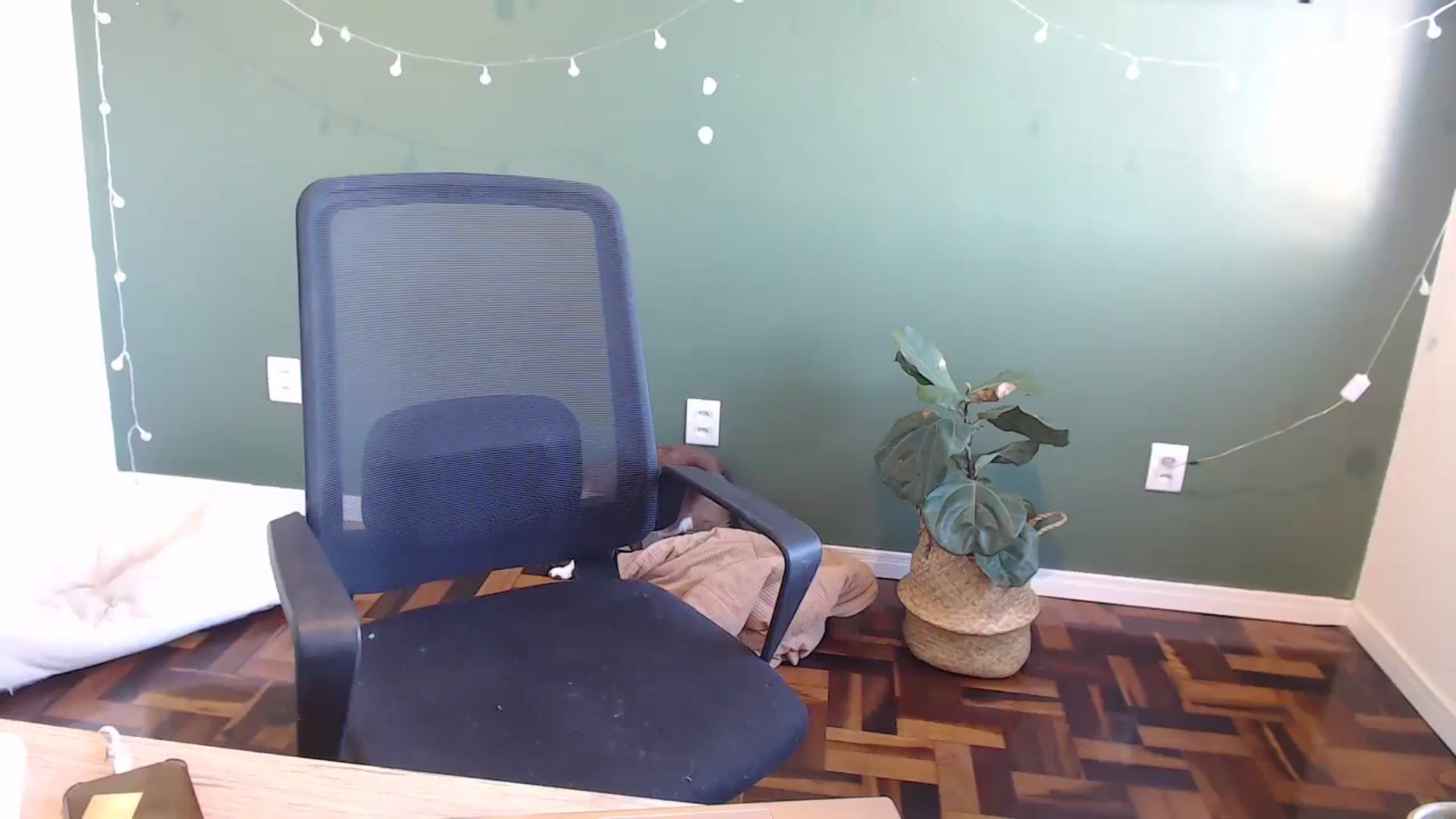 Gallery image thumbnail from Demmetria's myfreecams stream on, 06/04/2024, 14:07 image 19 of 20