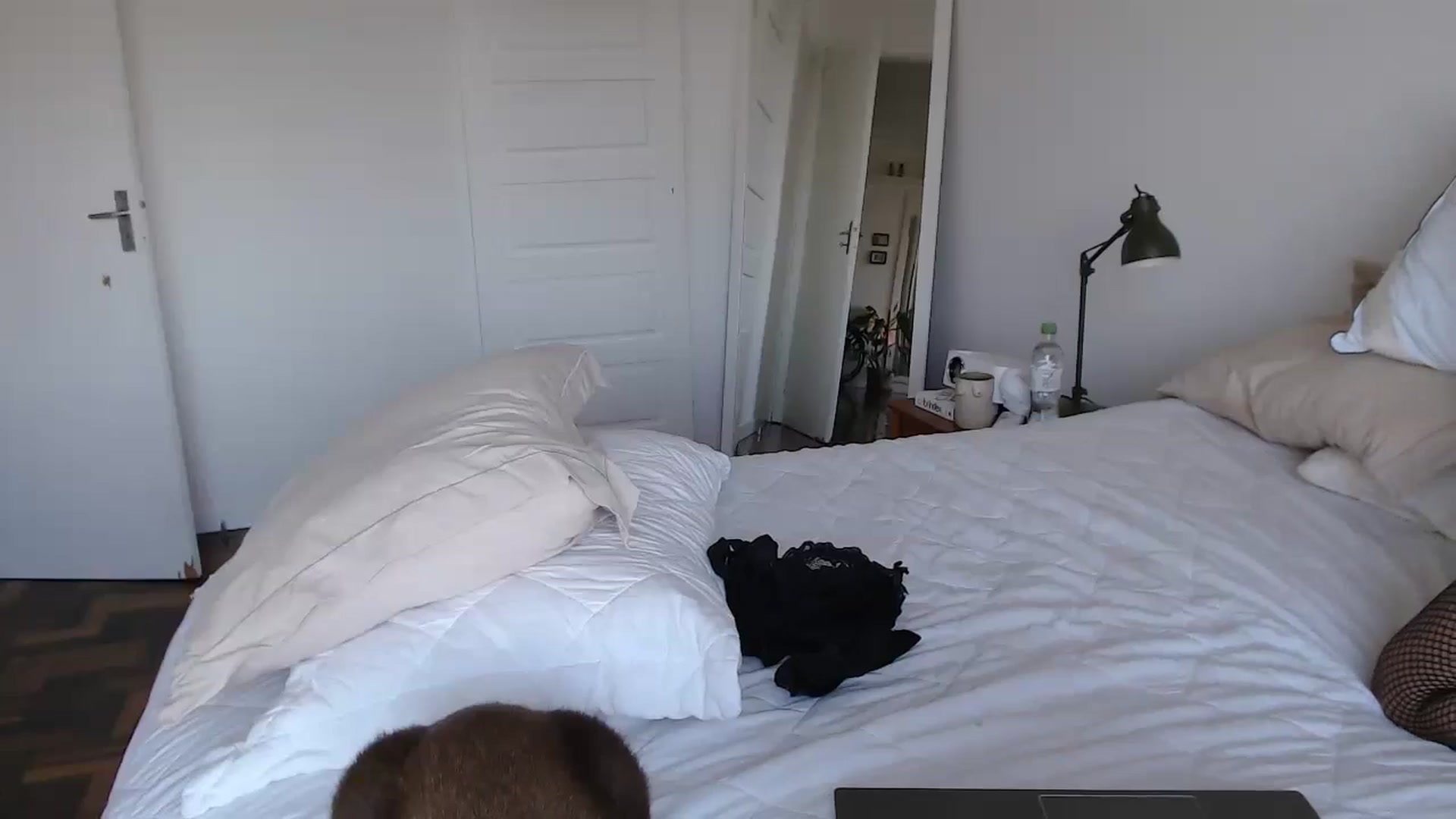 Gallery image thumbnail from Demmetria's myfreecams stream on, 06/07/2024, 18:23 image 8 of 20