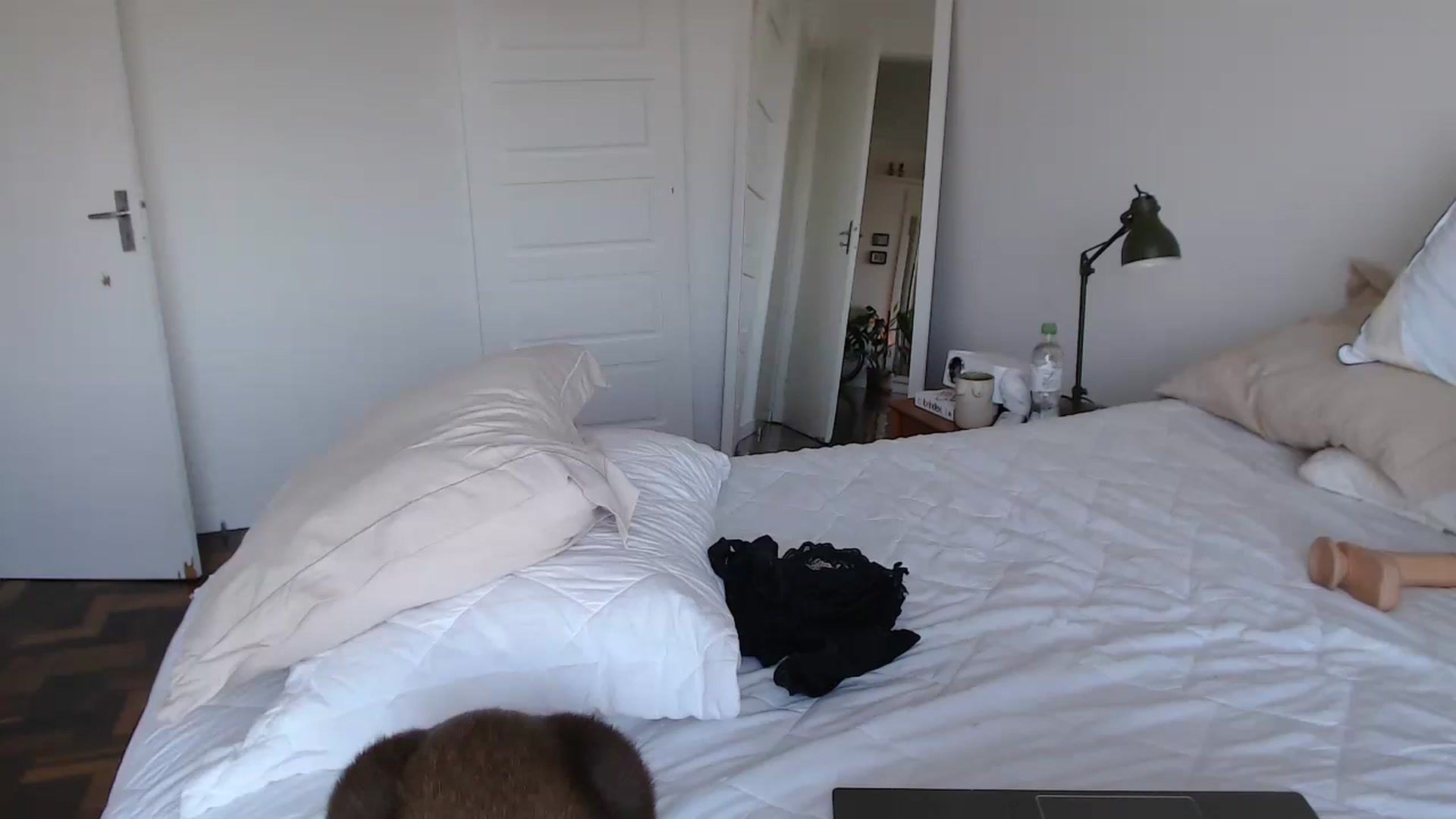Gallery image thumbnail from Demmetria's myfreecams stream on, 06/07/2024, 18:23 image 9 of 20