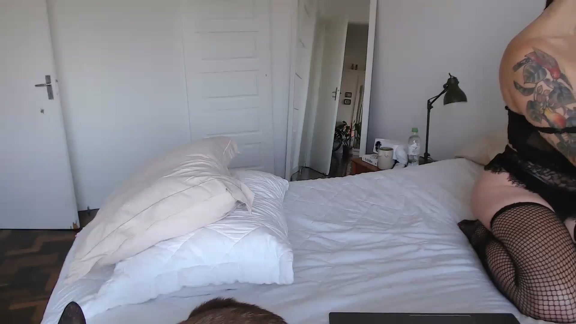 Gallery image thumbnail from Demmetria's myfreecams stream on, 06/07/2024, 18:23 image 5 of 20