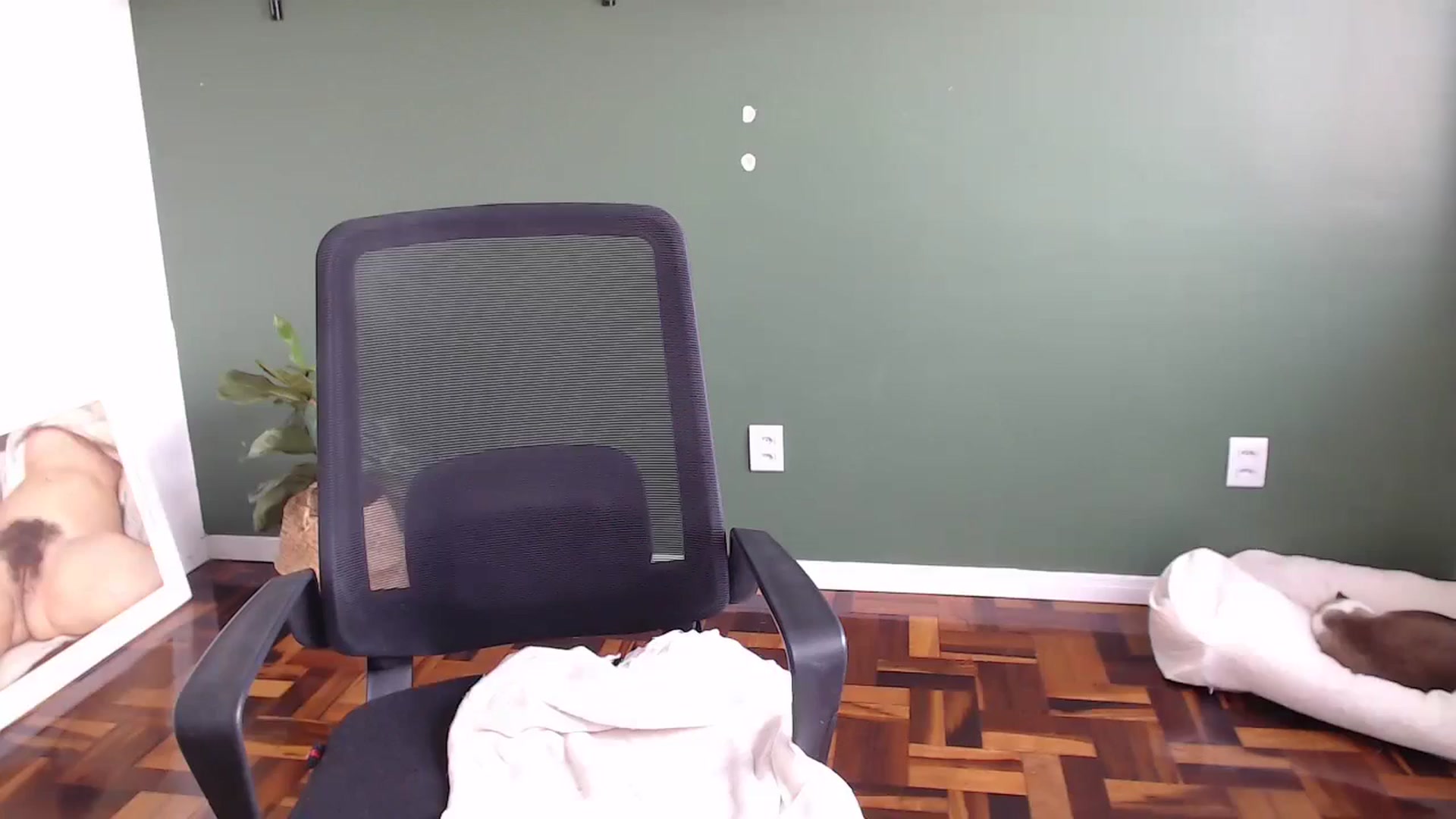 Gallery image thumbnail from Demmetria's myfreecams stream on, 06/18/2024, 18:24 image 8 of 20