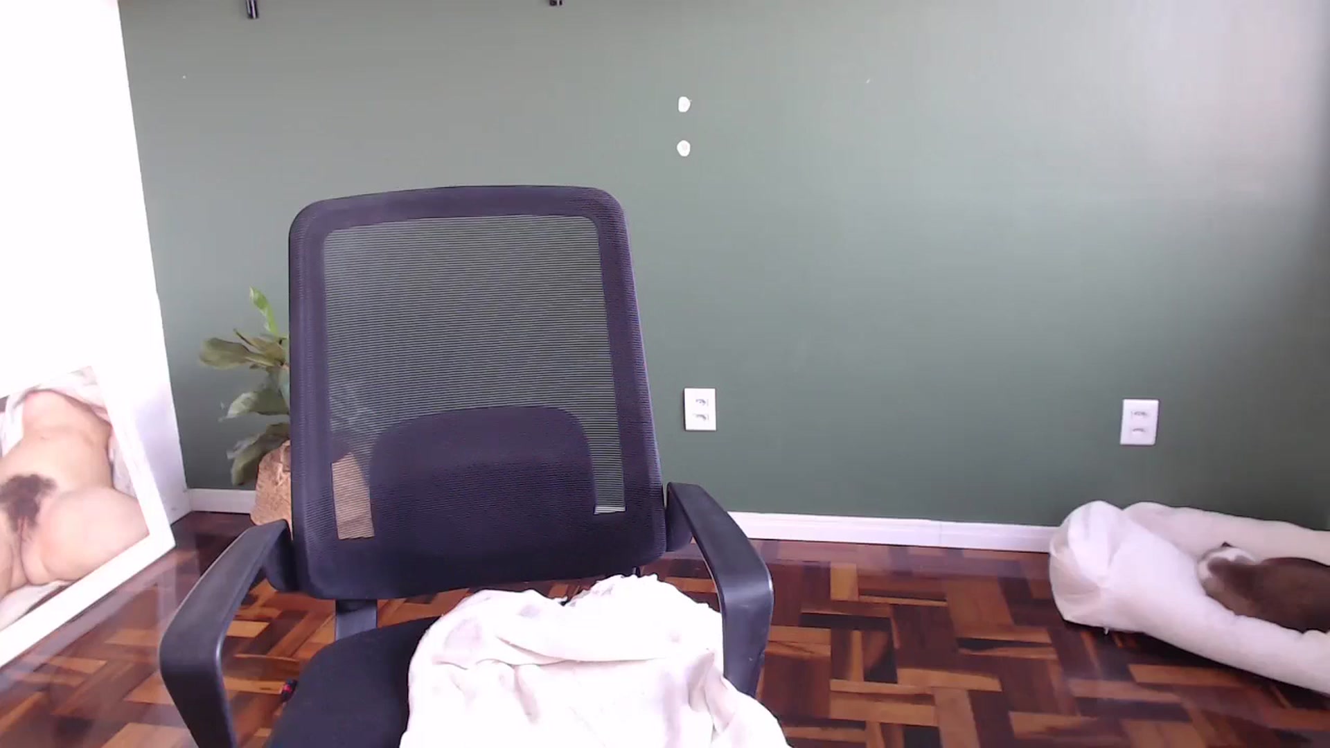 Gallery image thumbnail from Demmetria's myfreecams stream on, 06/18/2024, 18:24 image 10 of 20