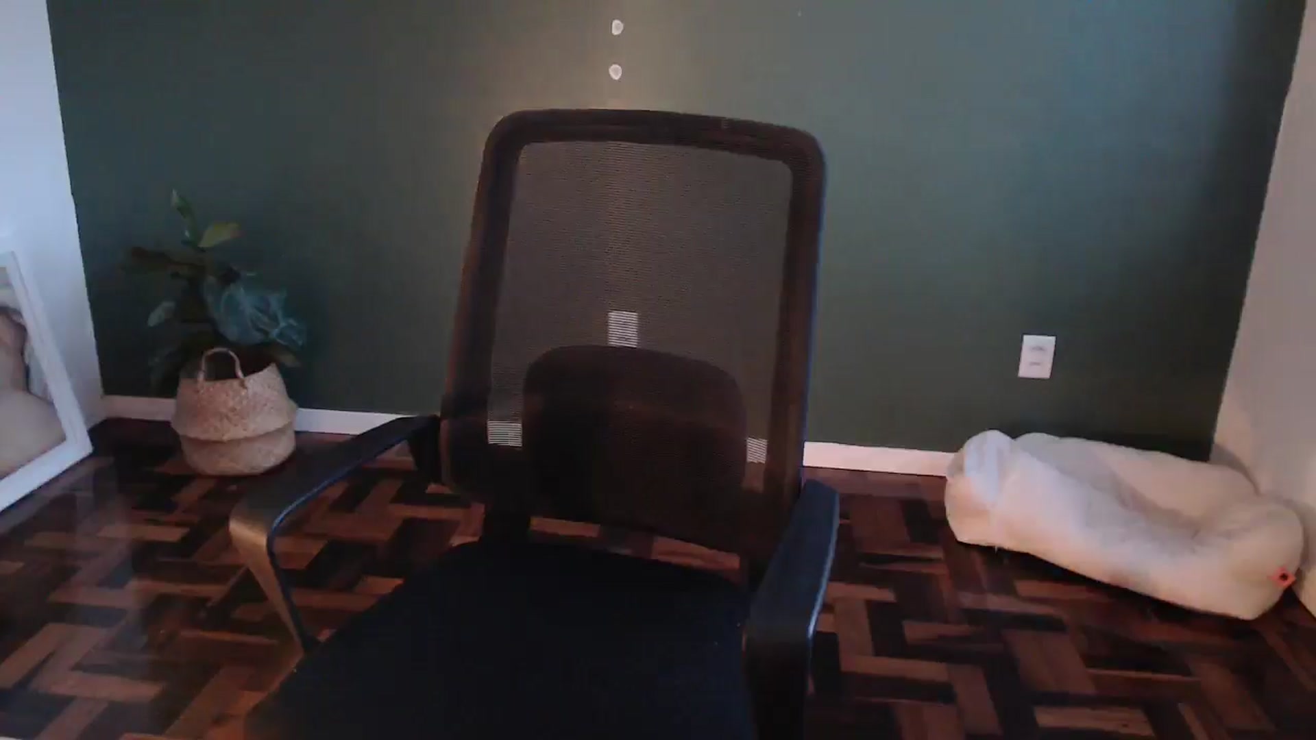 Gallery image thumbnail from Demmetria's myfreecams stream on, 06/19/2024, 20:37 image 20 of 20