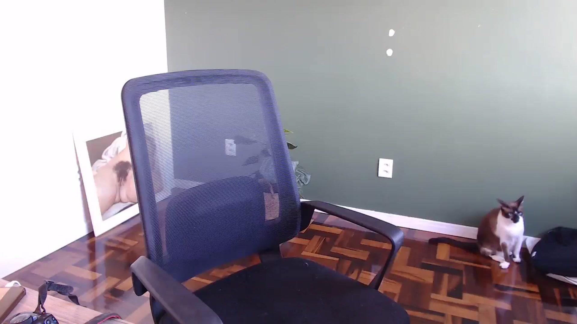Gallery image thumbnail from Demmetria's myfreecams stream on, 06/25/2024, 13:33 image 9 of 20