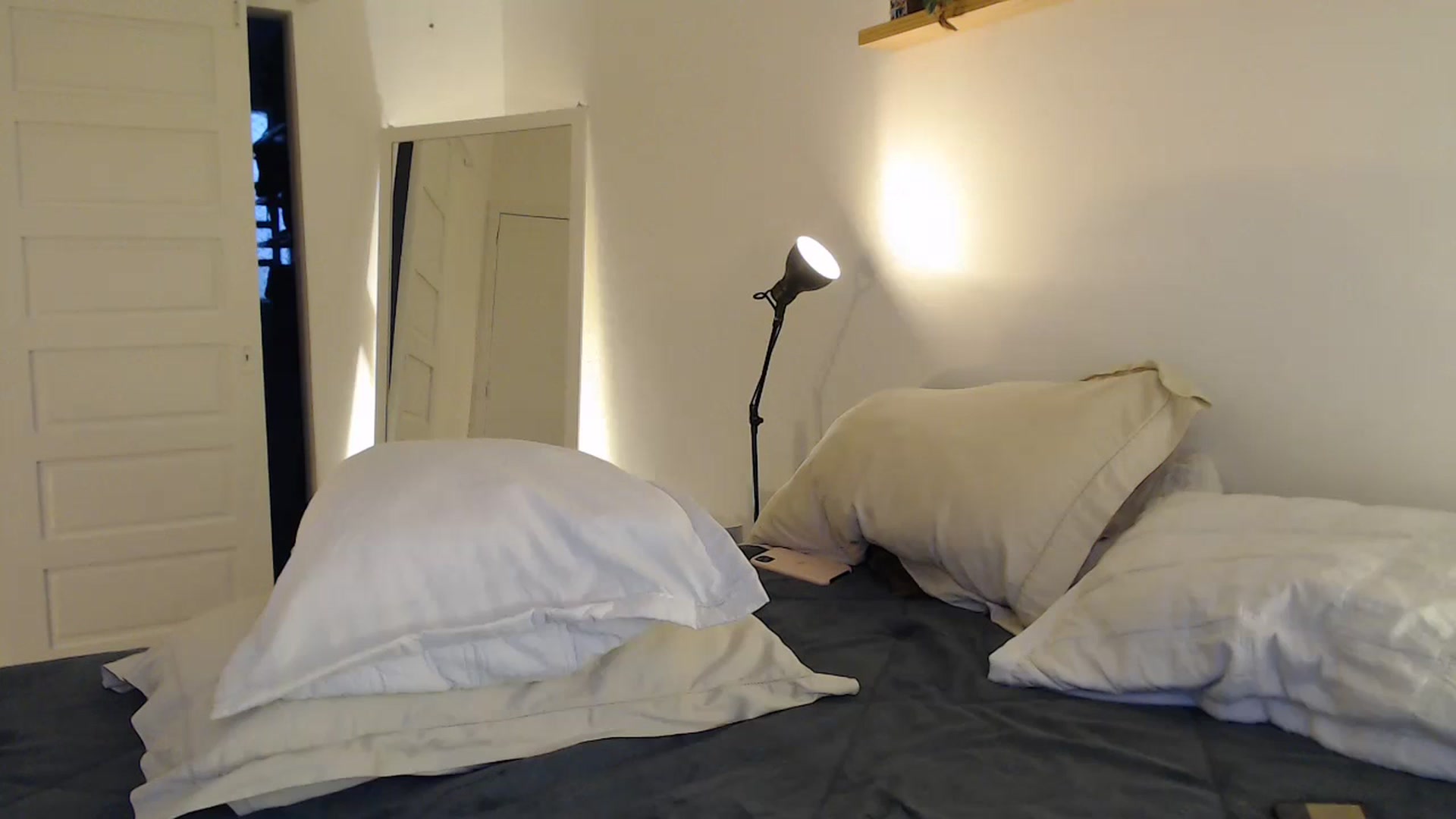 Gallery image thumbnail from Demmetria's myfreecams stream on, 07/04/2024, 21:15 image 6 of 20