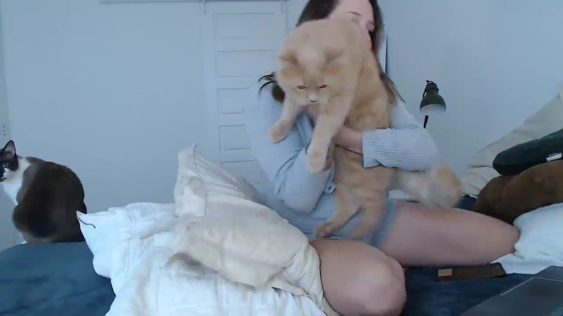 Gallery image thumbnail from Demmetria's myfreecams stream on, 07/08/2024, 19:27 image 15 of 20