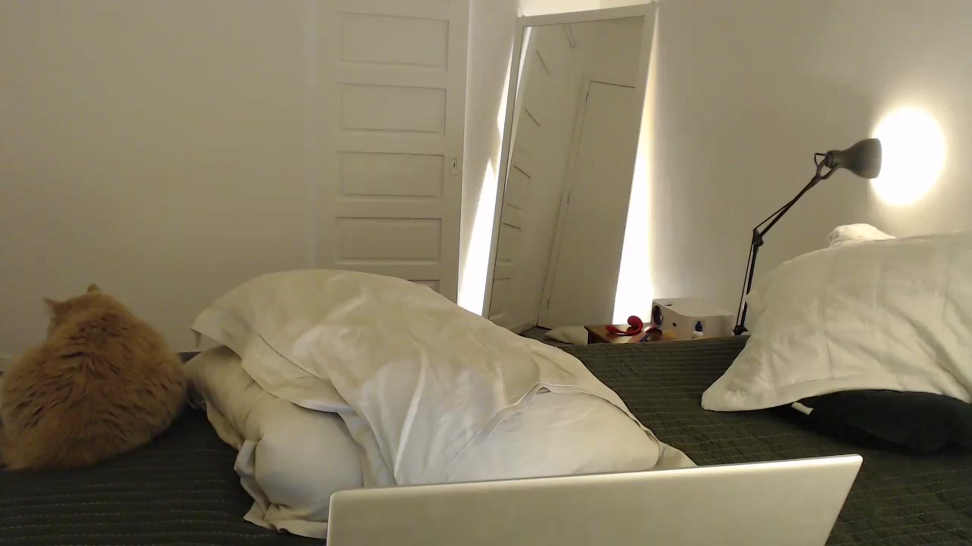Gallery image thumbnail from Demmetria's myfreecams stream on, 07/09/2024, 21:31 image 4 of 20