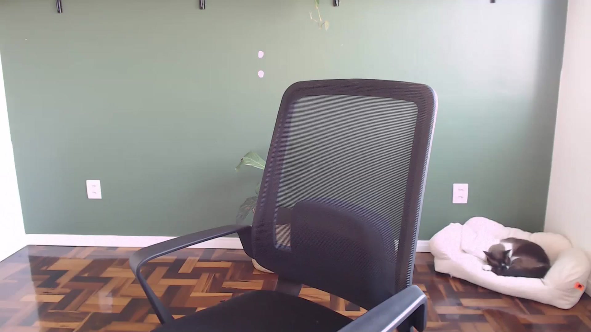 Gallery image thumbnail from Demmetria's myfreecams stream on, 08/01/2024, 18:51 image 15 of 20