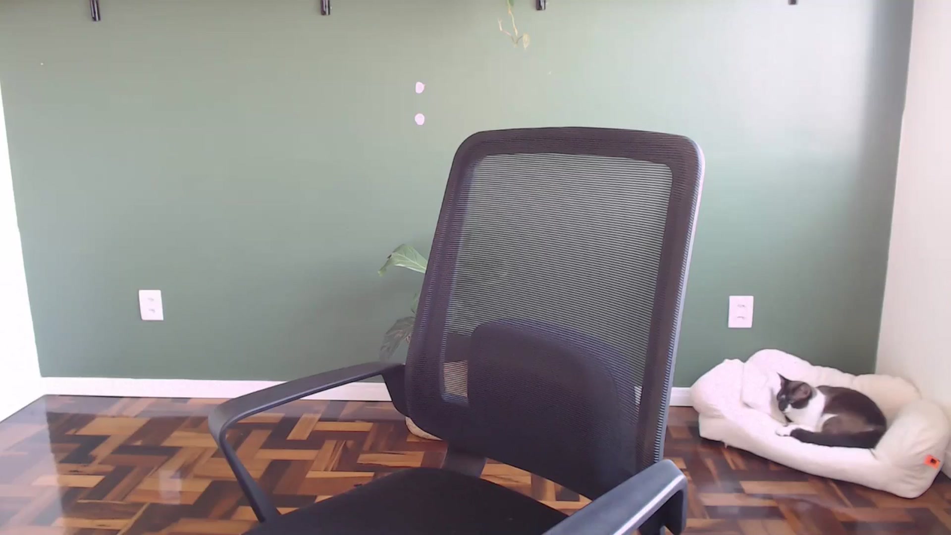 Gallery image thumbnail from Demmetria's myfreecams stream on, 08/01/2024, 18:51 image 14 of 20
