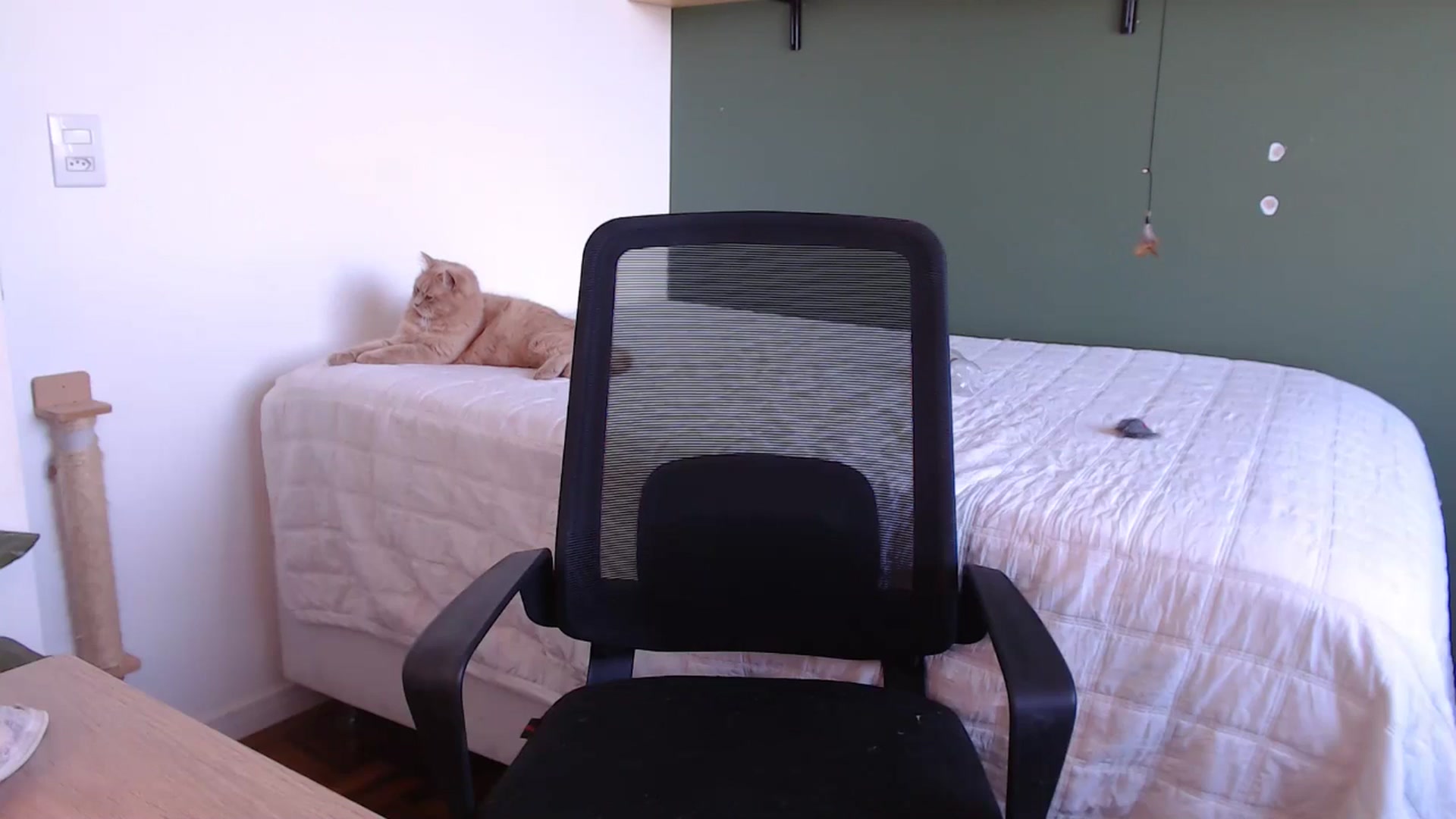 Gallery image thumbnail from Demmetria's myfreecams stream on, 08/13/2024, 14:43 image 16 of 20