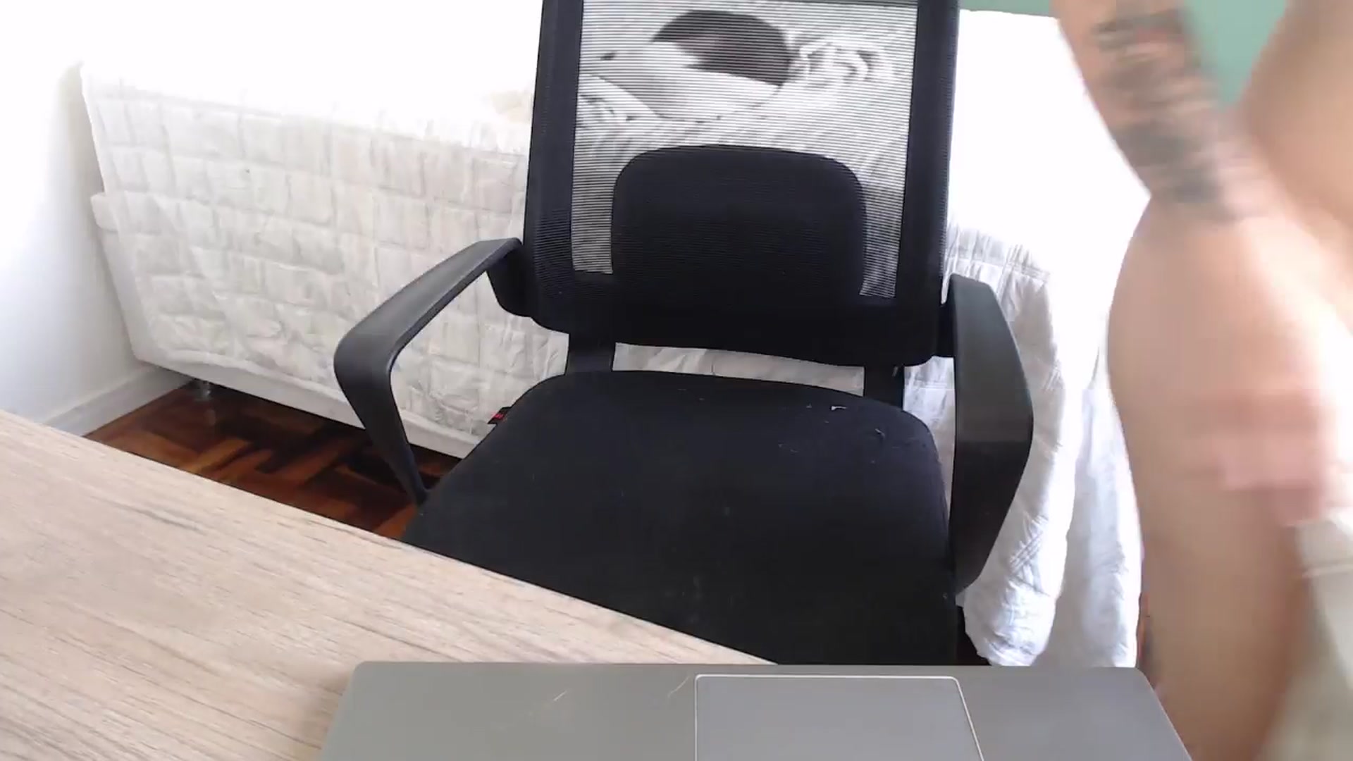 Gallery image thumbnail from Demmetria's myfreecams stream on, 08/21/2024, 18:06 image 18 of 20
