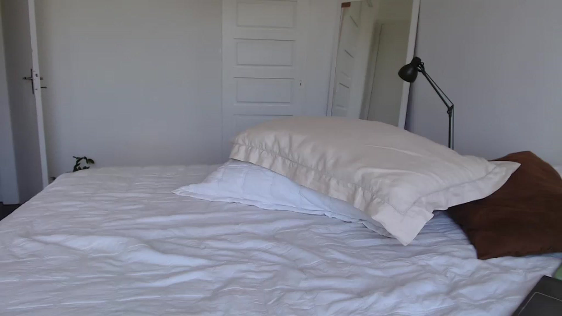 Gallery image thumbnail from Demmetria's myfreecams stream on, 02/21/2025, 18:29 image 12 of 20