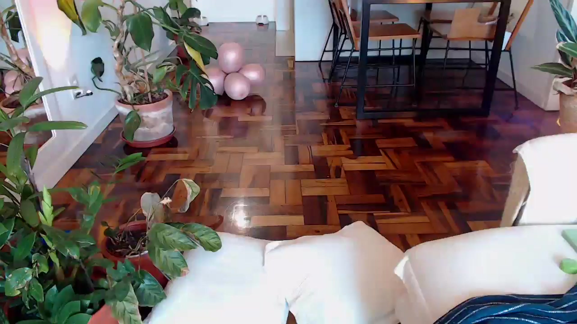 Gallery image thumbnail from Demmetria's myfreecams stream on, 04/02/2025, 20:00 image 11 of 20
