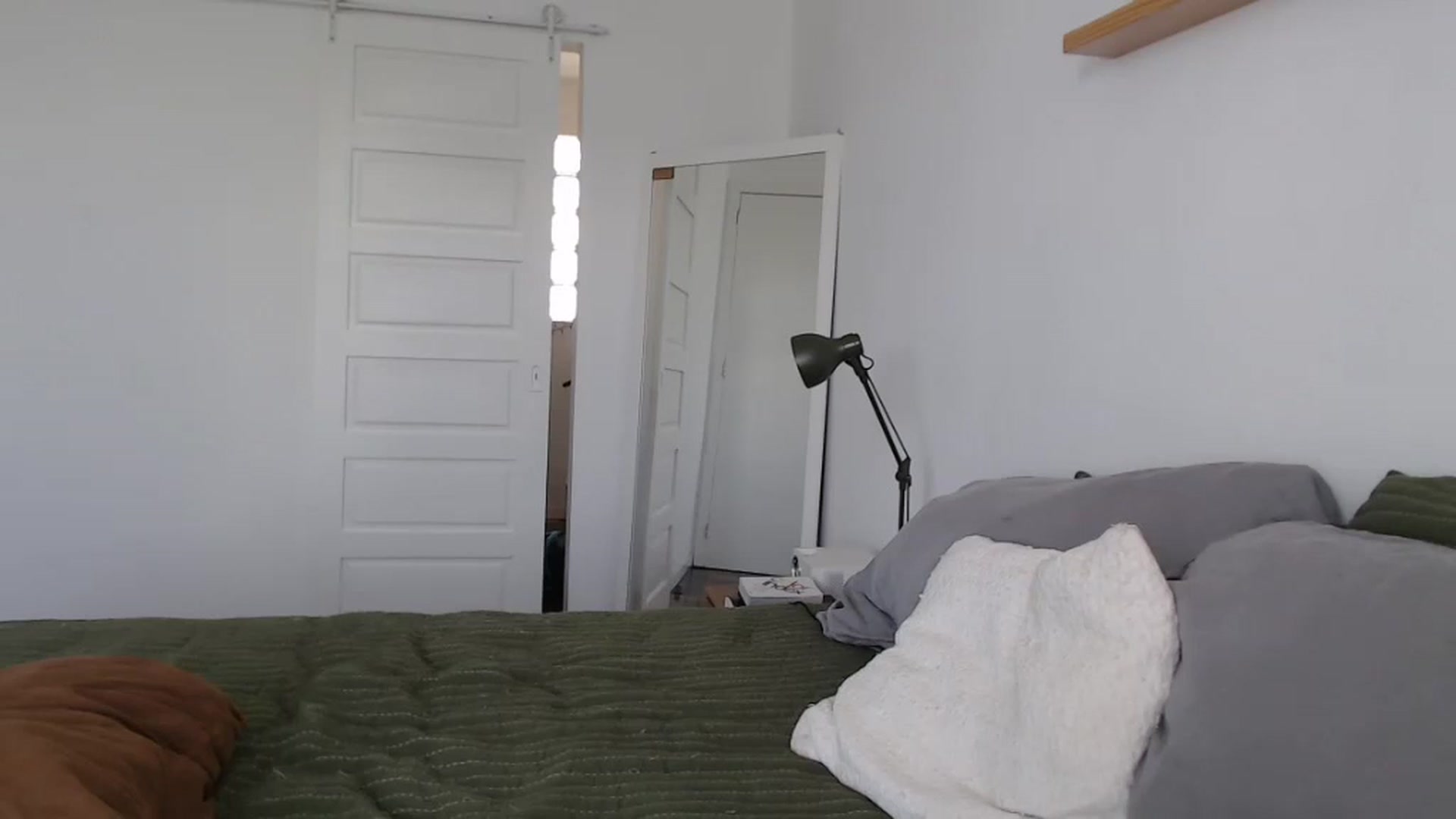 Gallery image thumbnail from Demmetria's myfreecams stream on, 12/11/2025, 17:35 image 17 of 20