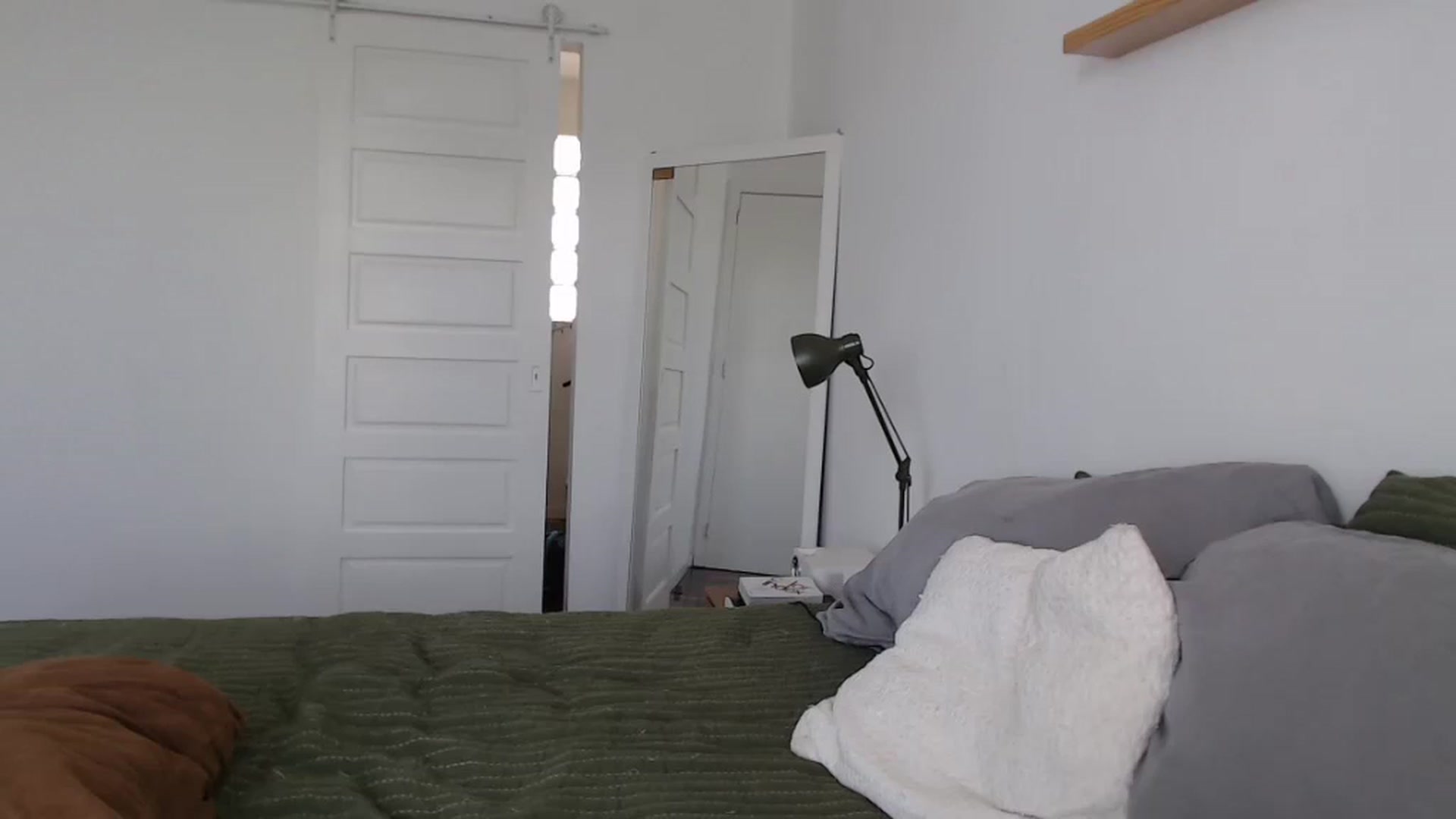 Gallery image thumbnail from Demmetria's myfreecams stream on, 12/11/2025, 17:35 image 16 of 20
