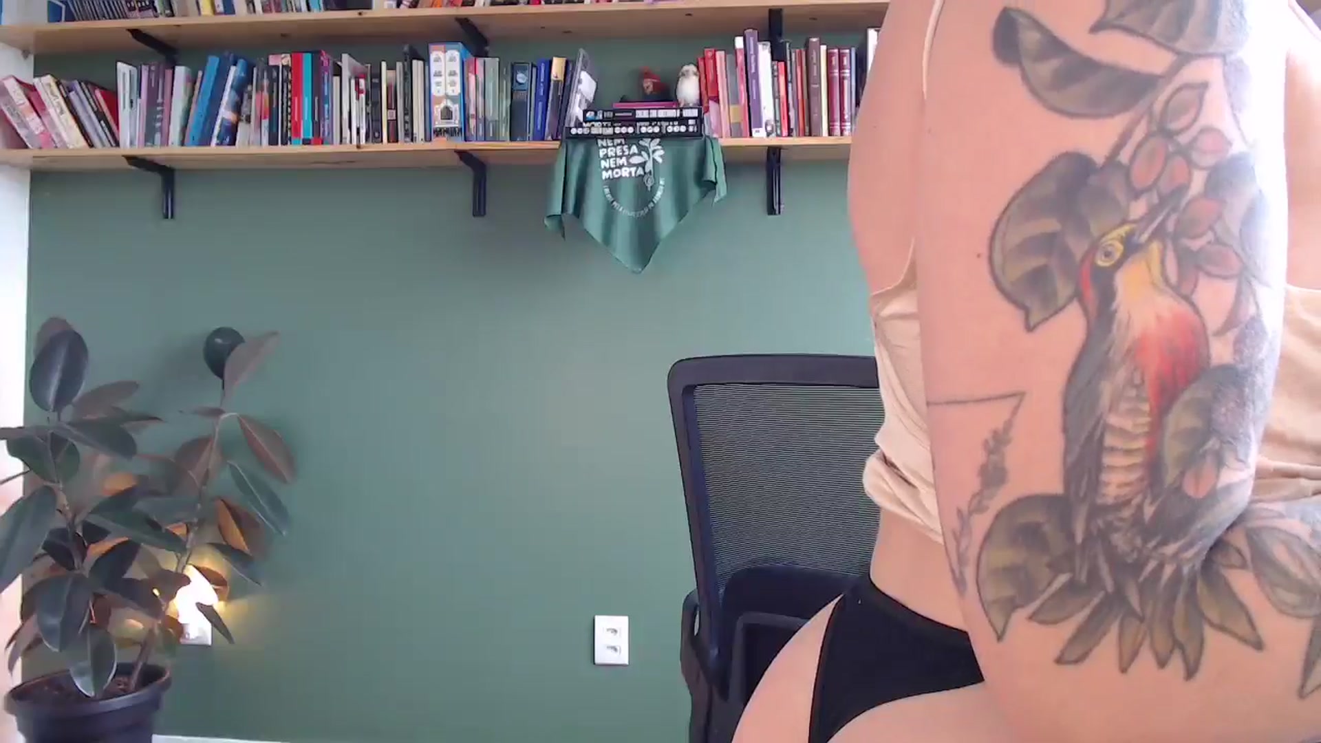 Gallery image thumbnail from Demmetria's myfreecams stream on, 12/15/2025, 18:16 image 12 of 20