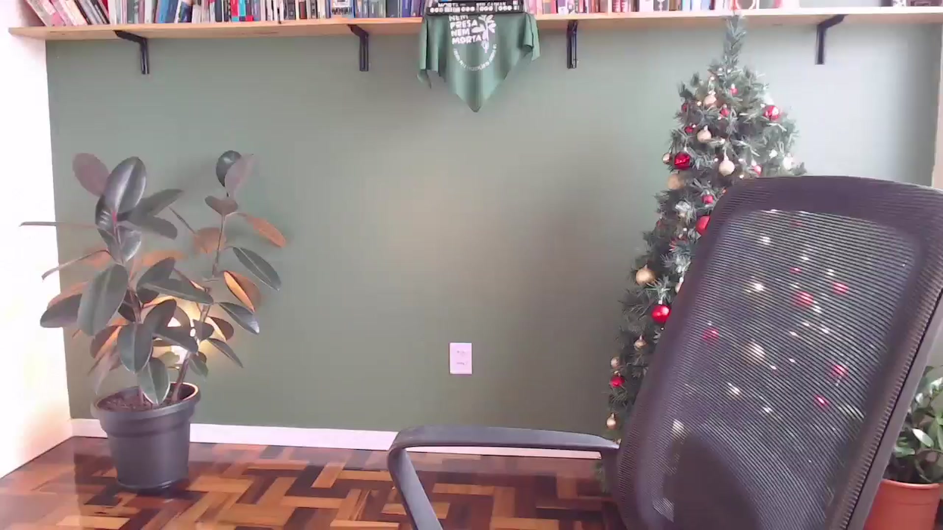 Gallery image thumbnail from Demmetria's myfreecams stream on, 12/25/2025, 20:52 image 16 of 20