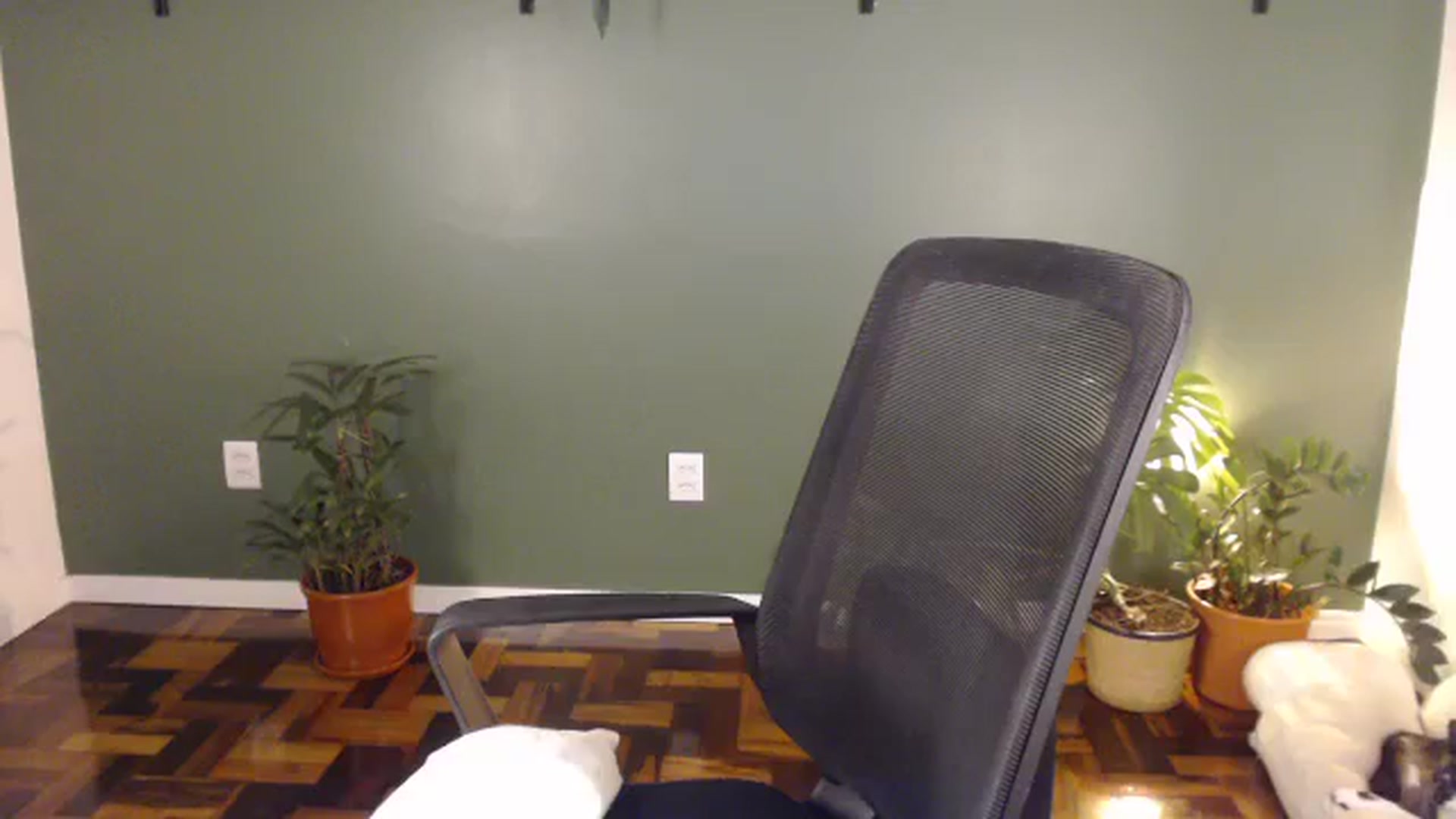 Gallery image thumbnail from Demmetria's myfreecams stream on, 03/23/2026, 19:41 image 10 of 20