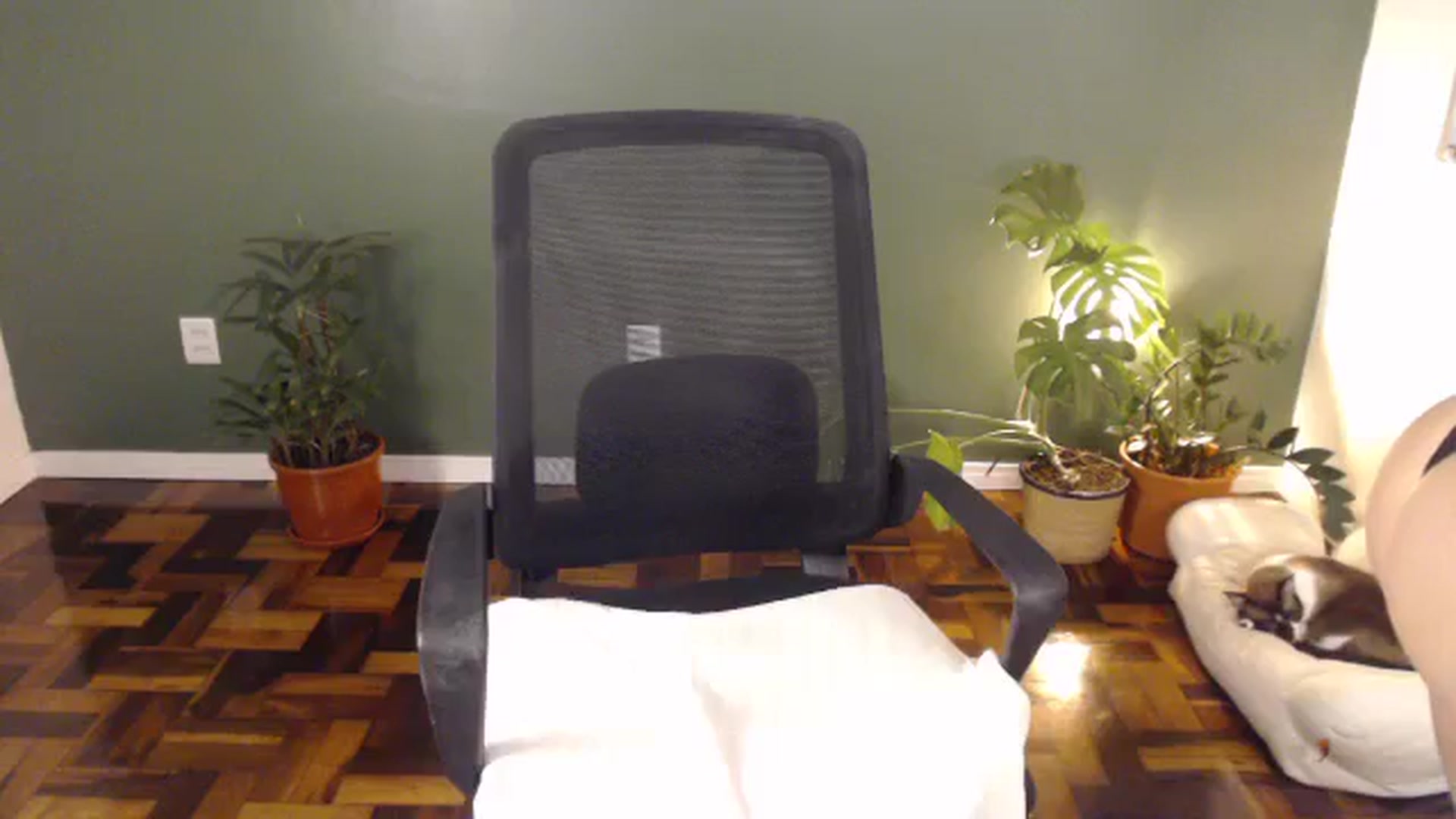 Gallery image thumbnail from Demmetria's myfreecams stream on, 03/23/2026, 20:07 image 4 of 20