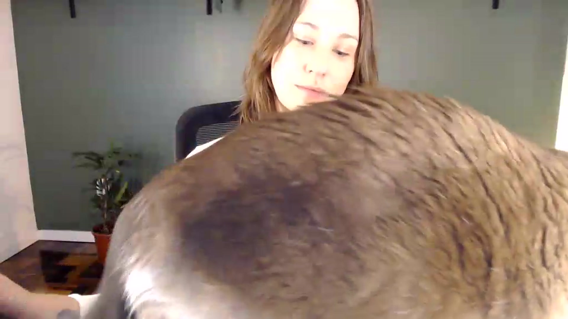 Gallery image thumbnail from Demmetria's myfreecams stream on, 05/29/2026, 18:29 image 6 of 20