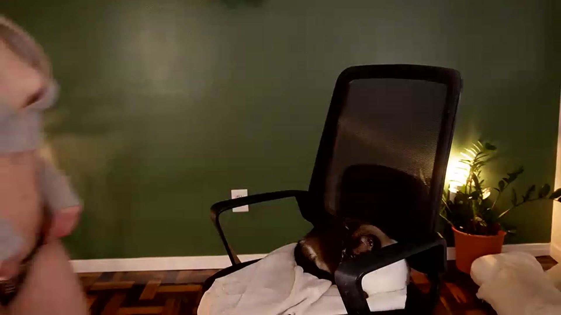 Gallery image thumbnail from Demmetria's myfreecams stream on, 06/23/2026, 19:23 image 7 of 20