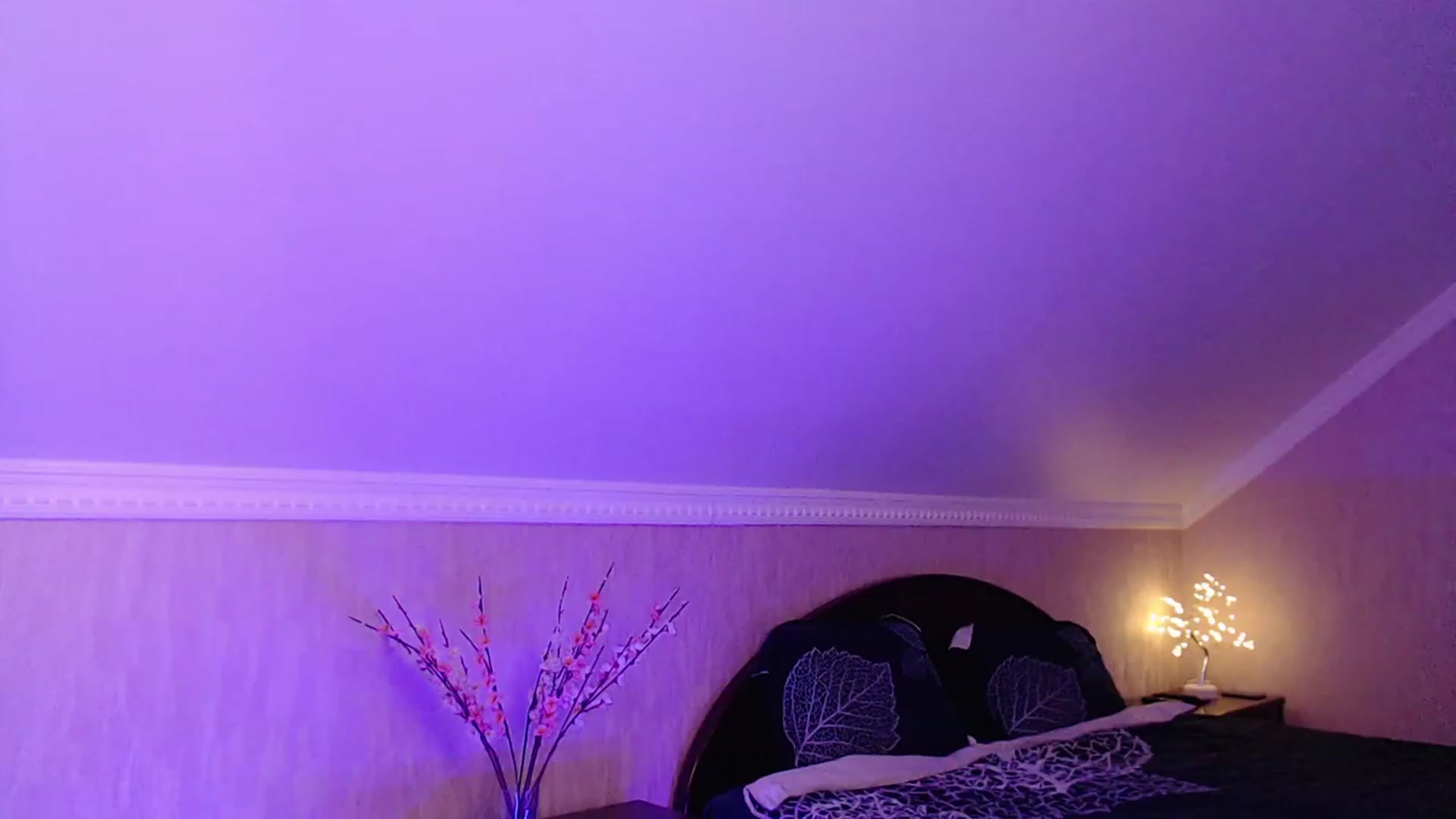 Gallery image thumbnail from Denisa__'s myfreecams stream on, 11/14/2022, 23:03 image 20 of 20