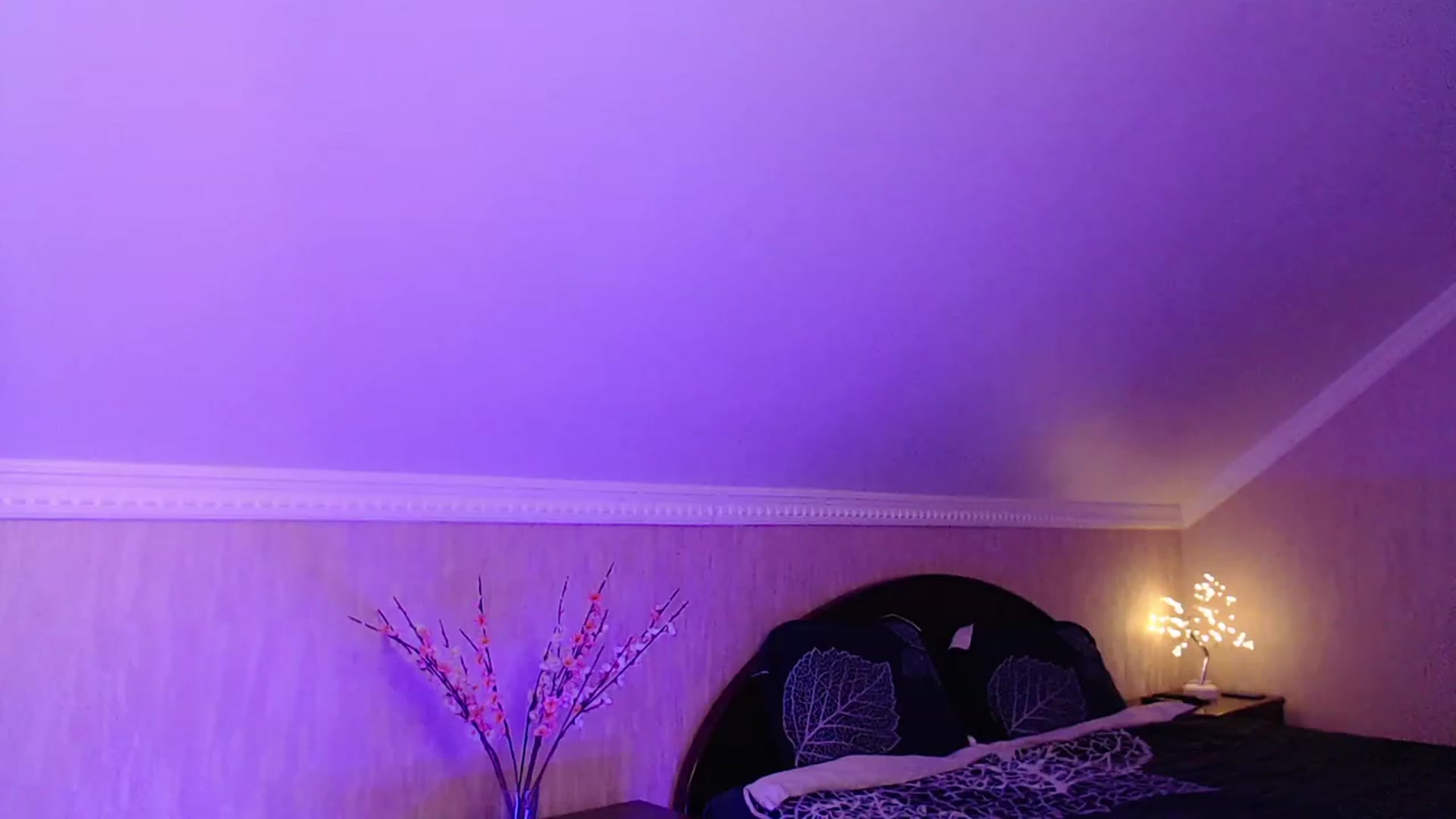 Gallery image thumbnail from Denisa__'s myfreecams stream on, 11/14/2022, 23:03 image 19 of 20