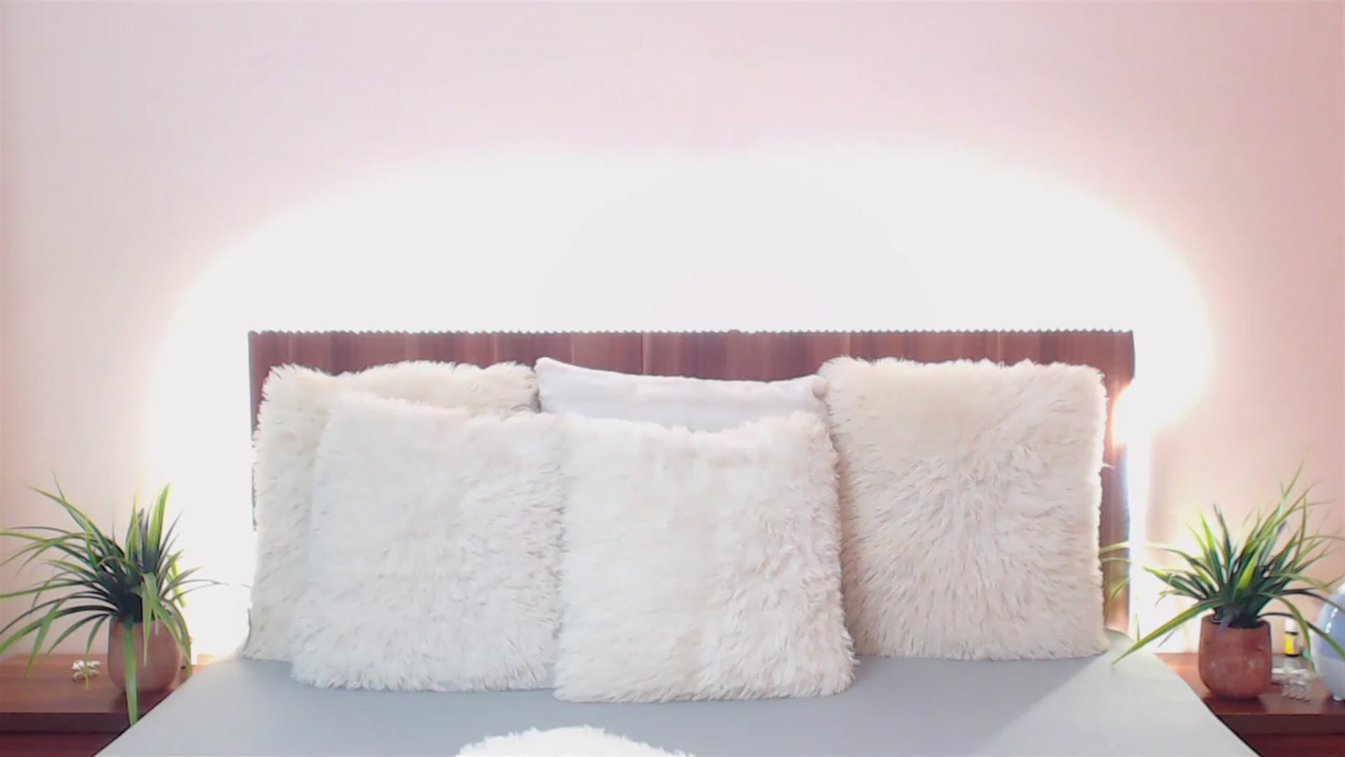 Gallery image thumbnail from DestinyFox1's myfreecams stream on, 05/16/2023, 09:22 image 13 of 20