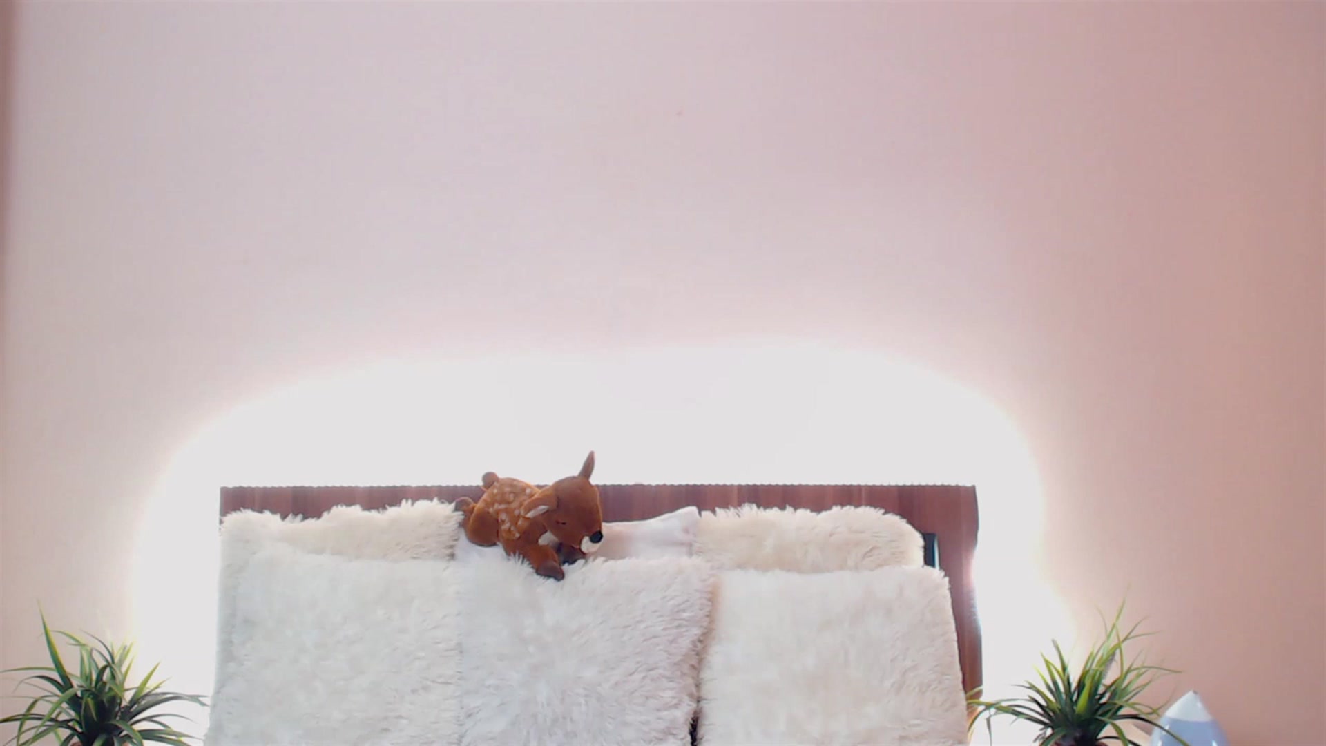 Gallery image thumbnail from DestinyFox1's myfreecams stream on, 05/21/2023, 14:37 image 11 of 20