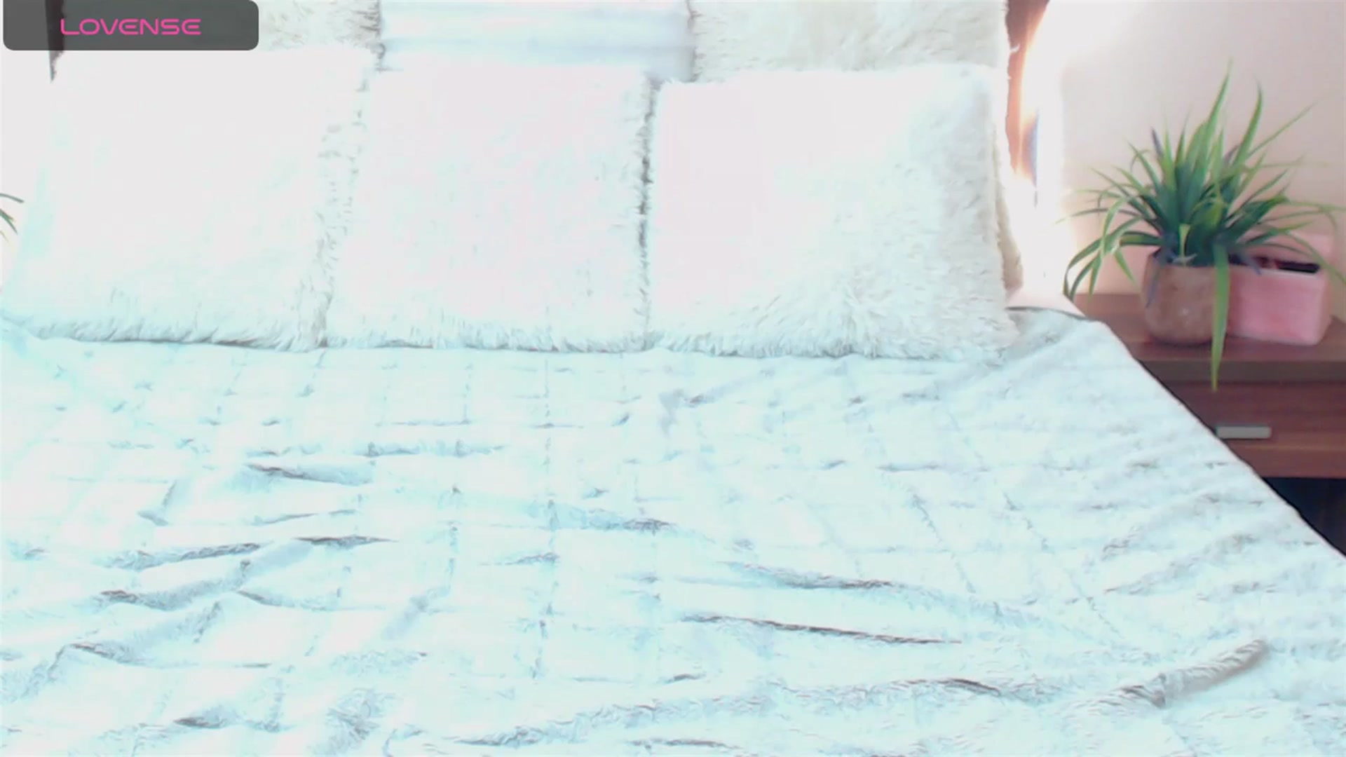 Gallery image thumbnail from DestinyFox1's myfreecams stream on, 09/11/2023, 07:02 image 20 of 20