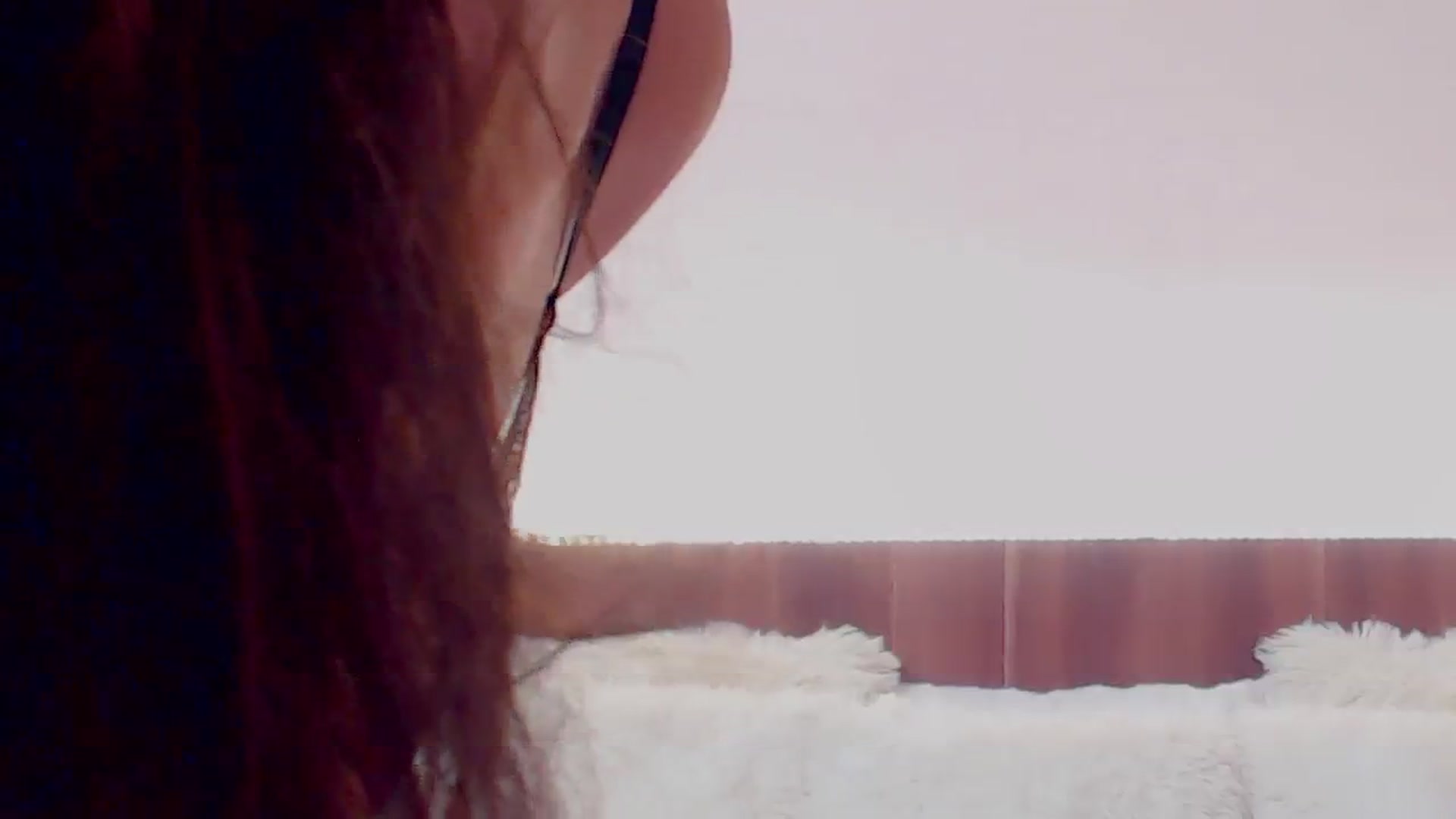 Gallery image thumbnail from DestinyFox1's myfreecams stream on, 02/29/2024, 17:19 image 20 of 20