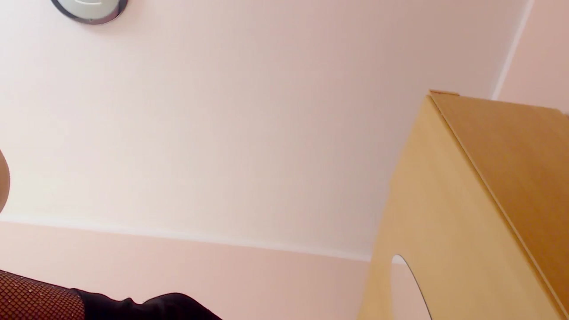 Gallery image thumbnail from DestinyFox1's myfreecams stream on, 03/04/2024, 19:56 image 2 of 20