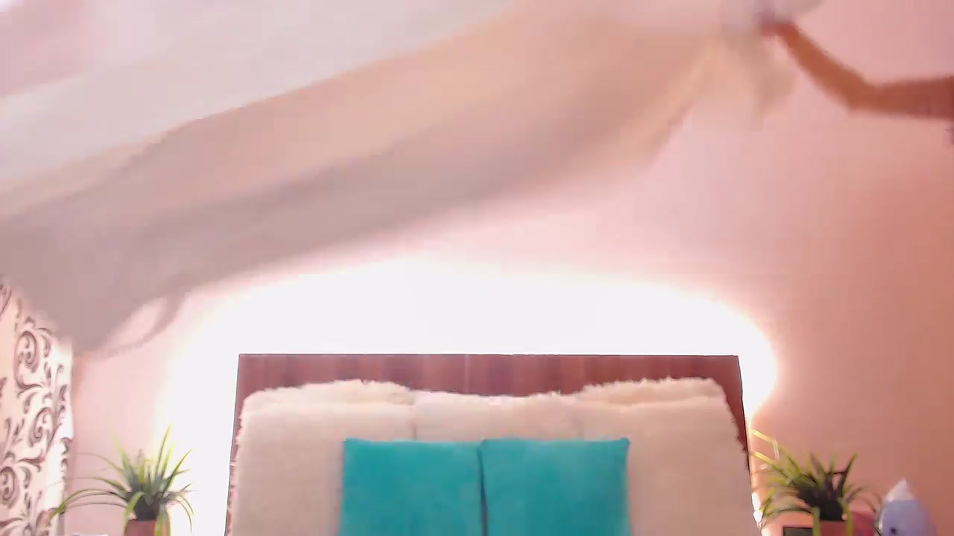 Gallery image thumbnail from DestinyFox1's myfreecams stream on, 07/10/2024, 05:54 image 12 of 20