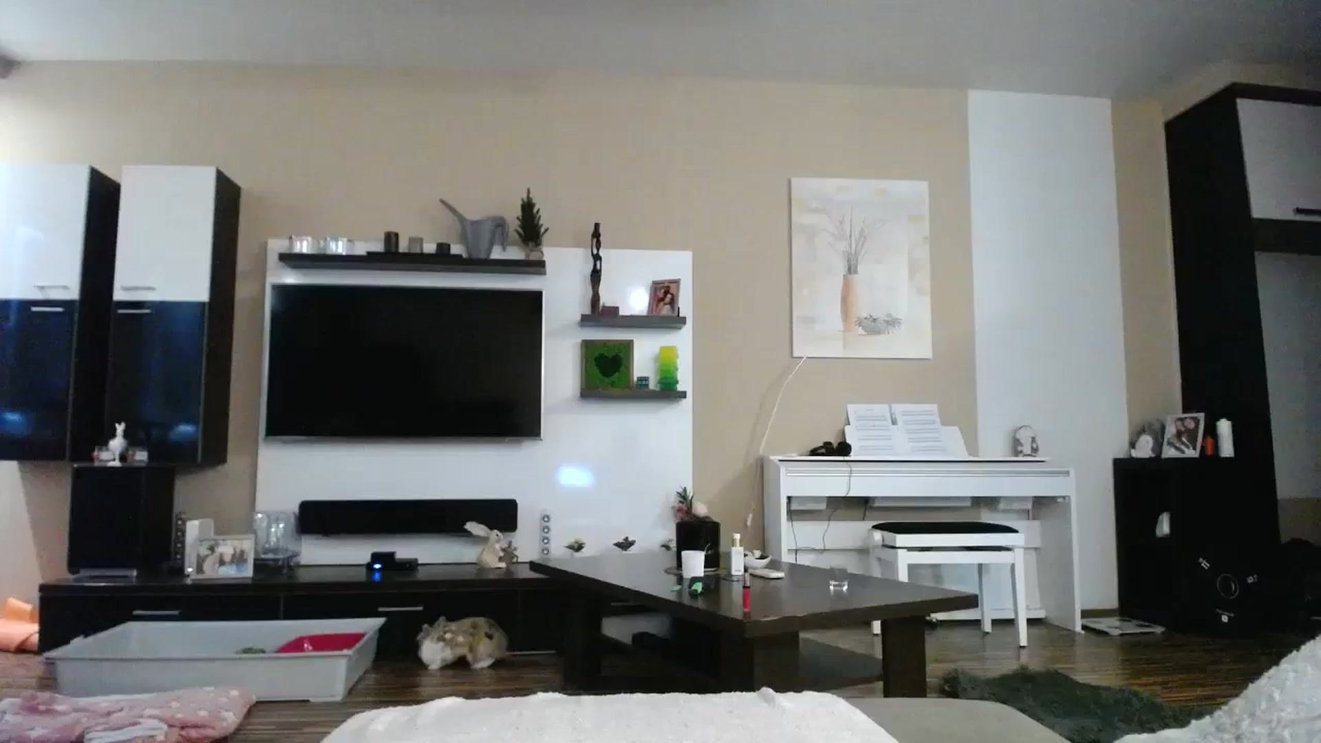 Gallery image thumbnail from Destiny____'s myfreecams stream on, 09/23/2023, 15:31 image 20 of 20