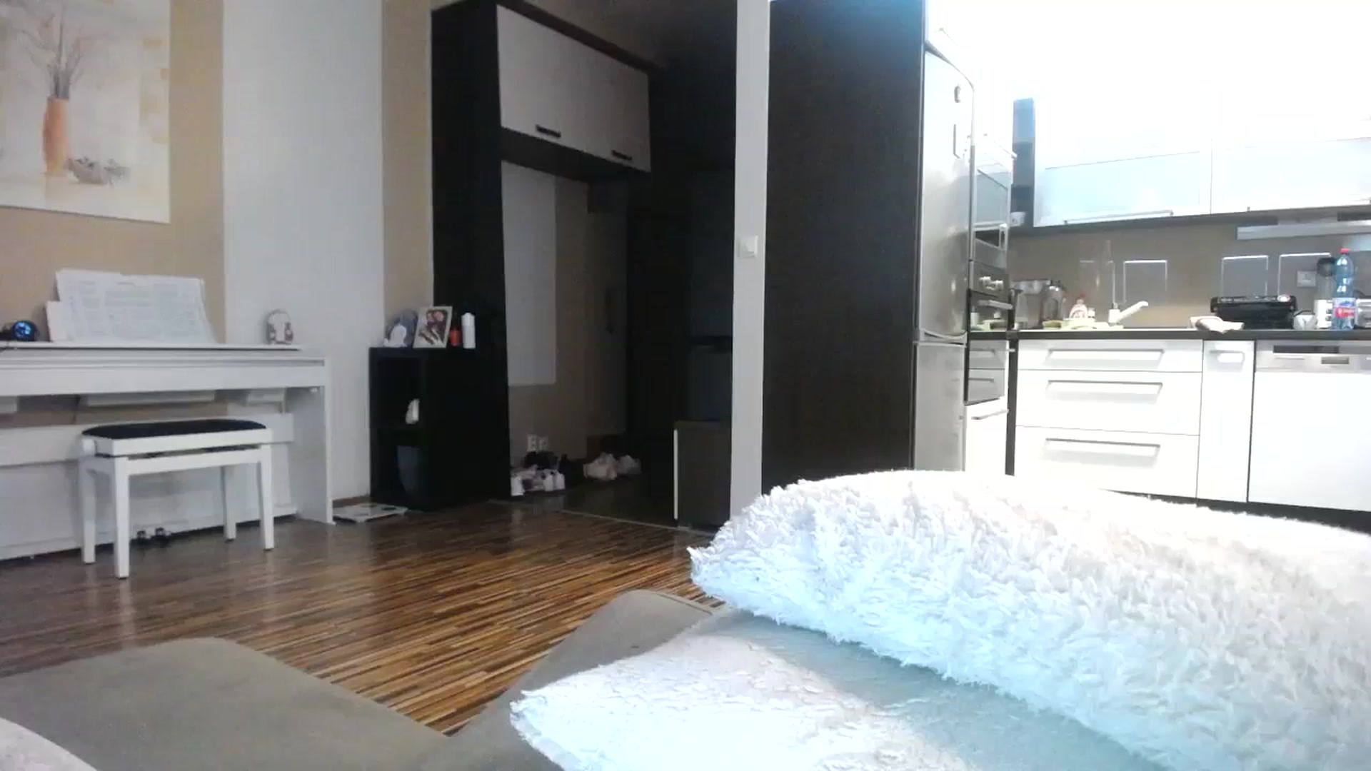 Gallery image thumbnail from Destiny____'s myfreecams stream on, 11/12/2023, 14:47 image 16 of 20