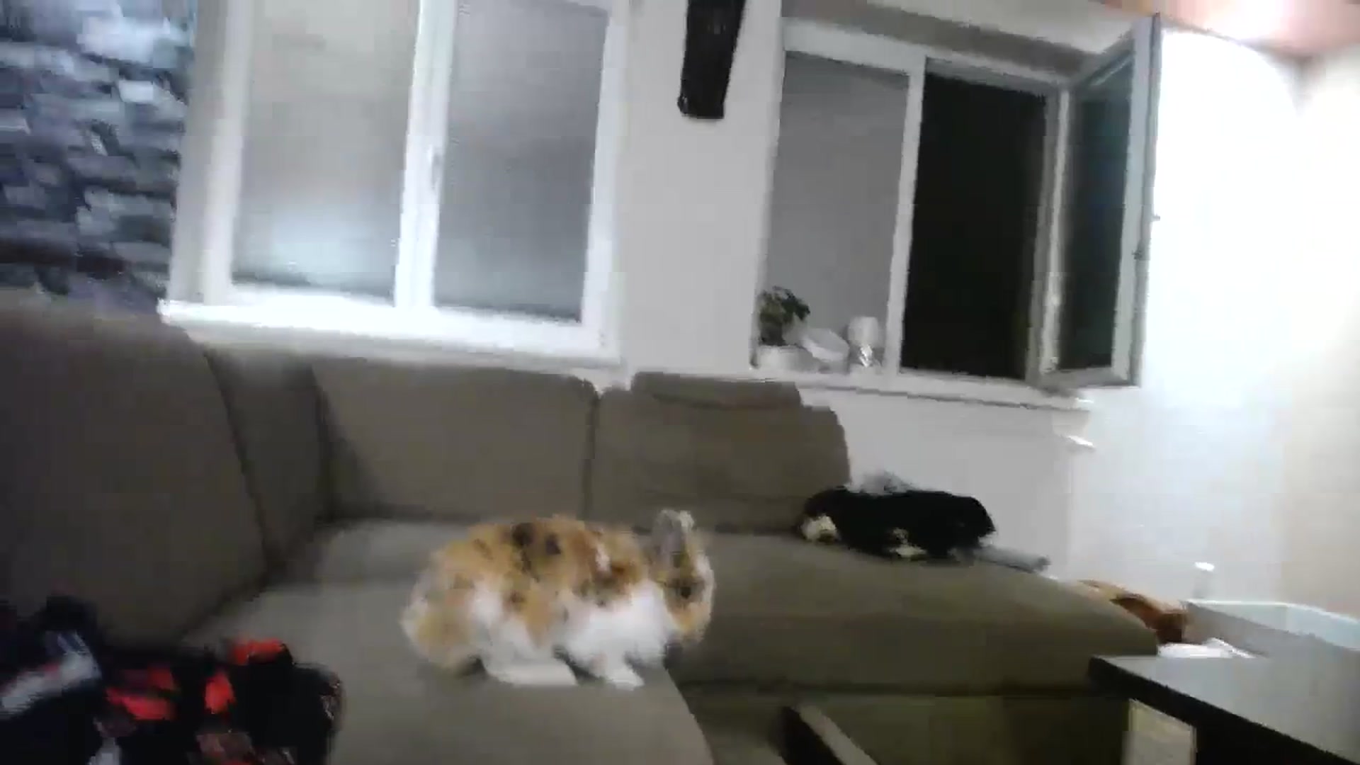 Gallery image thumbnail from Destiny____'s myfreecams stream on, 11/18/2023, 17:20 image 8 of 20