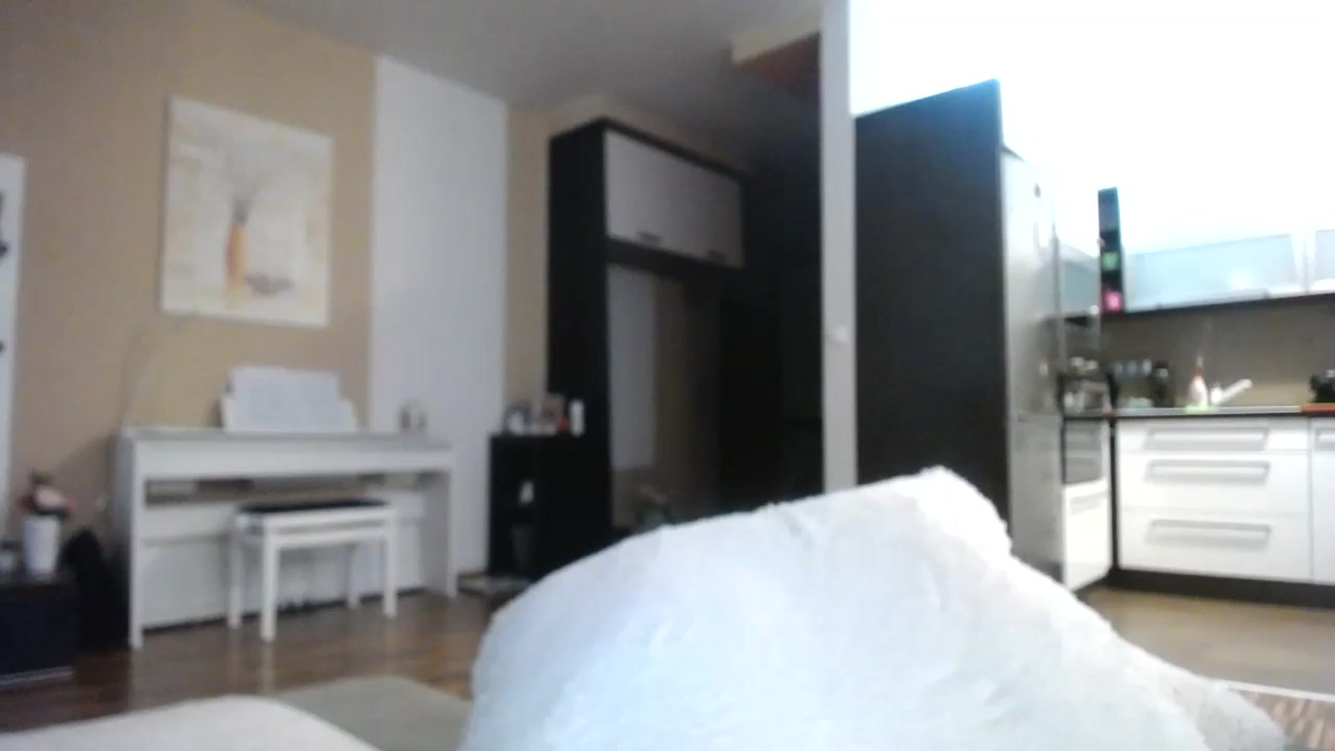 Gallery image thumbnail from Destiny____'s myfreecams stream on, 12/29/2023, 16:08 image 2 of 20