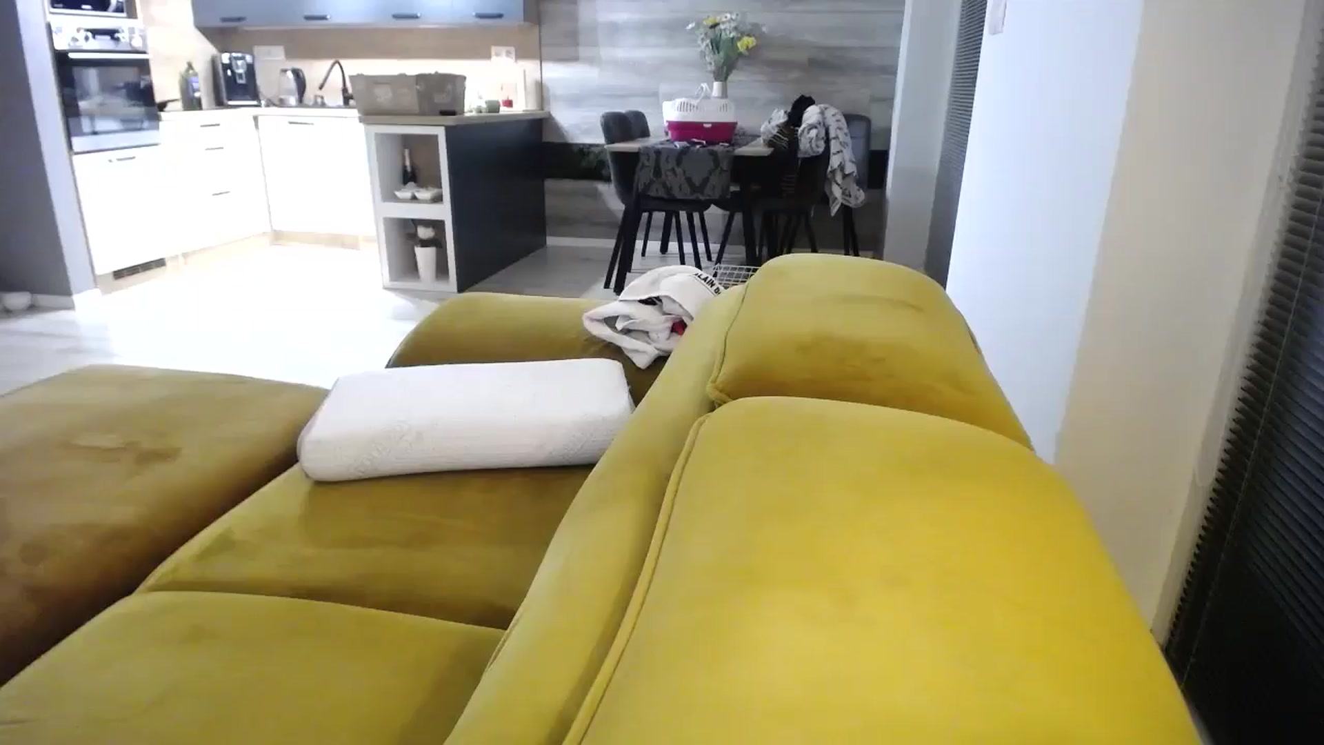 Gallery image thumbnail from Destiny____'s myfreecams stream on, 01/04/2025, 19:19 image 18 of 20