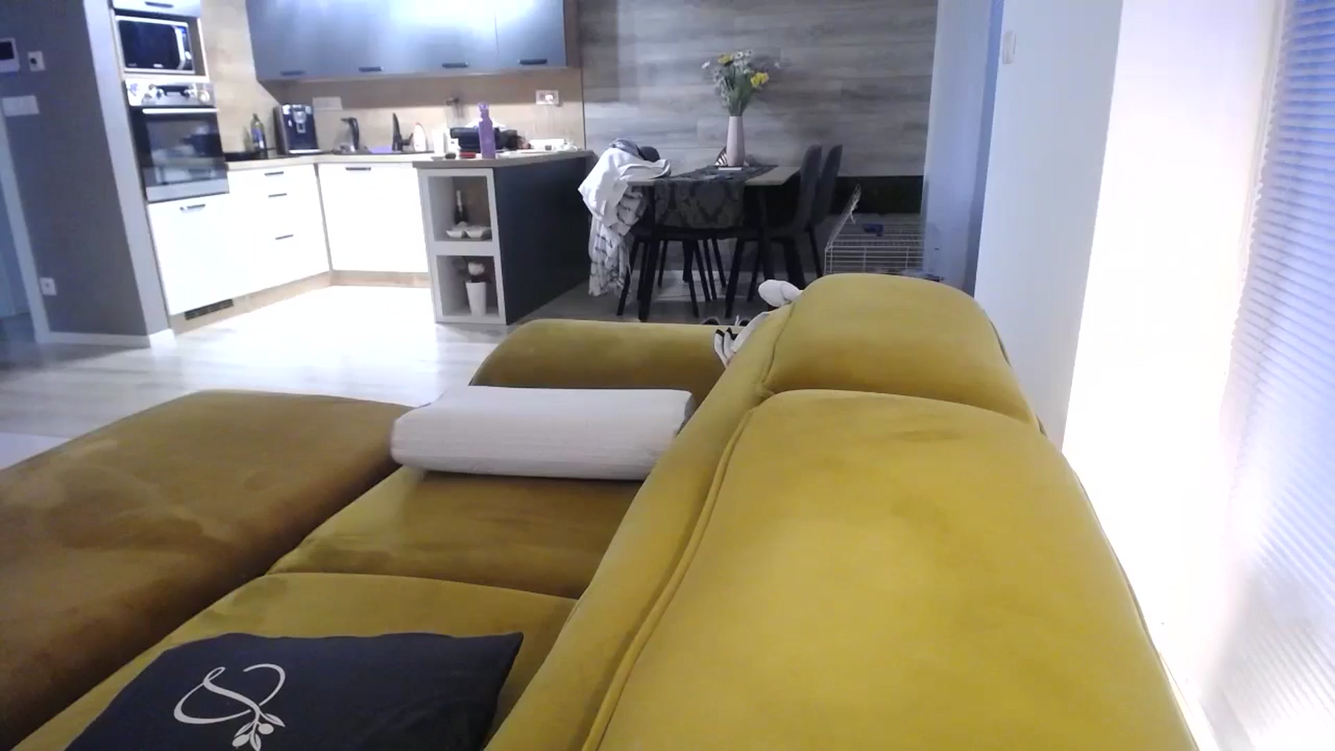 Gallery image thumbnail from Destiny____'s myfreecams stream on, 01/11/2025, 14:27 image 16 of 20