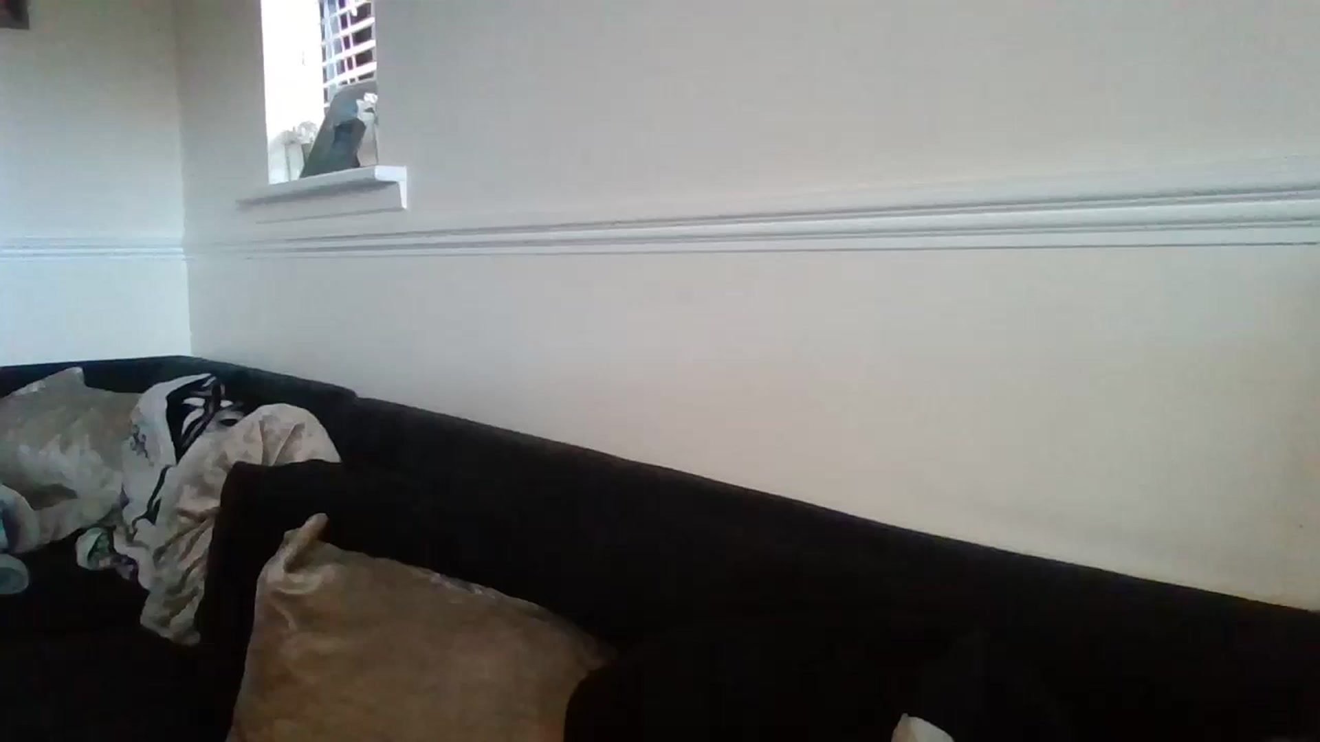 Gallery image thumbnail from Destx1's myfreecams stream on, 10/29/2024, 12:15 image 9 of 20